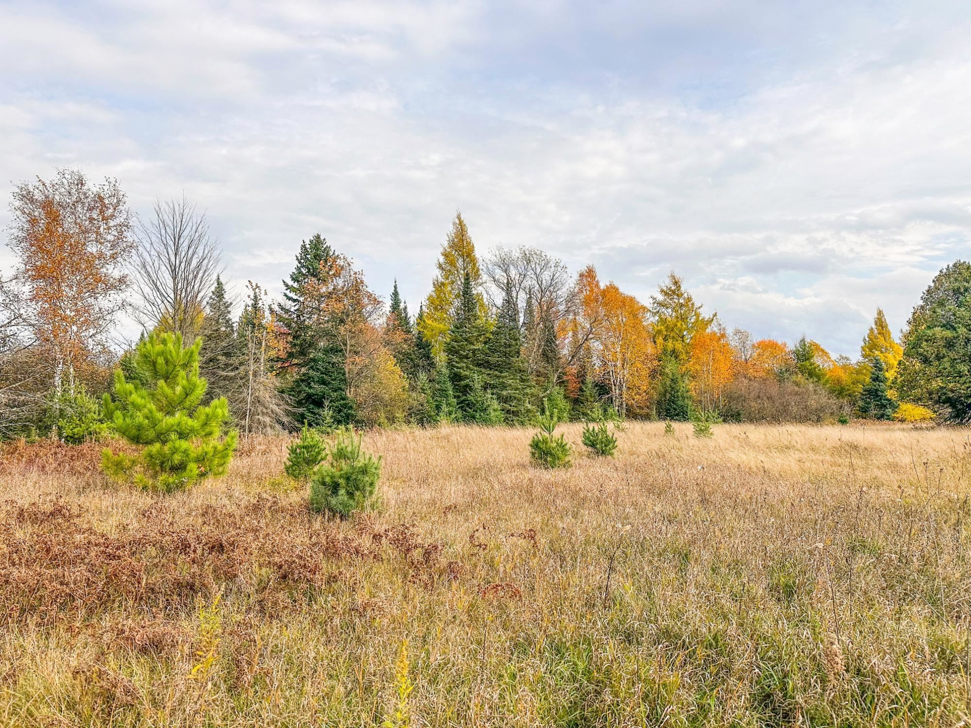 1.62 A Darlaks Bay Lane, Phillips, Wisconsin 54555, ,Land,For Sale,1.62 A Darlaks Bay Lane,22505279