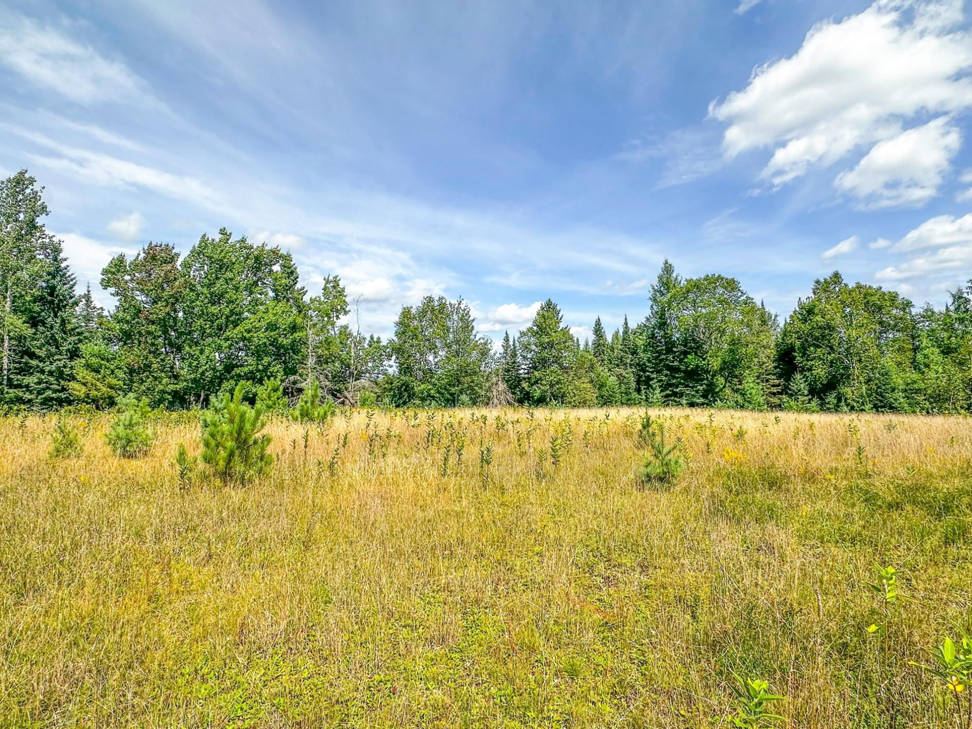 1.62 A Darlaks Bay Lane, Phillips, Wisconsin 54555, ,Land,For Sale,1.62 A Darlaks Bay Lane,22505279