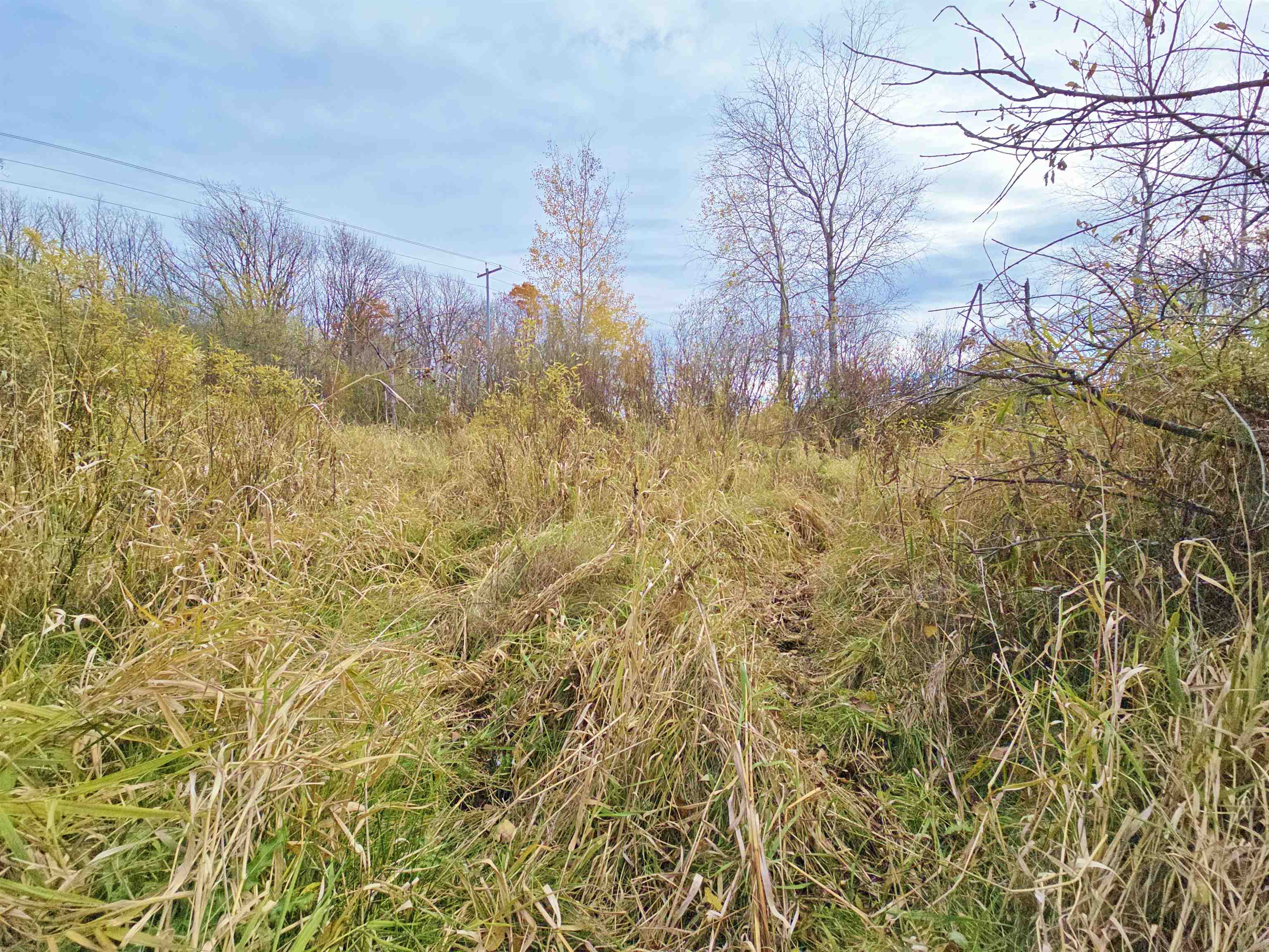 4.89 Acres At N GALVIN AVENUE, Marshfield, Wisconsin 54449, ,Land,For Sale,4.89 Acres At N GALVIN AVENUE,22505328