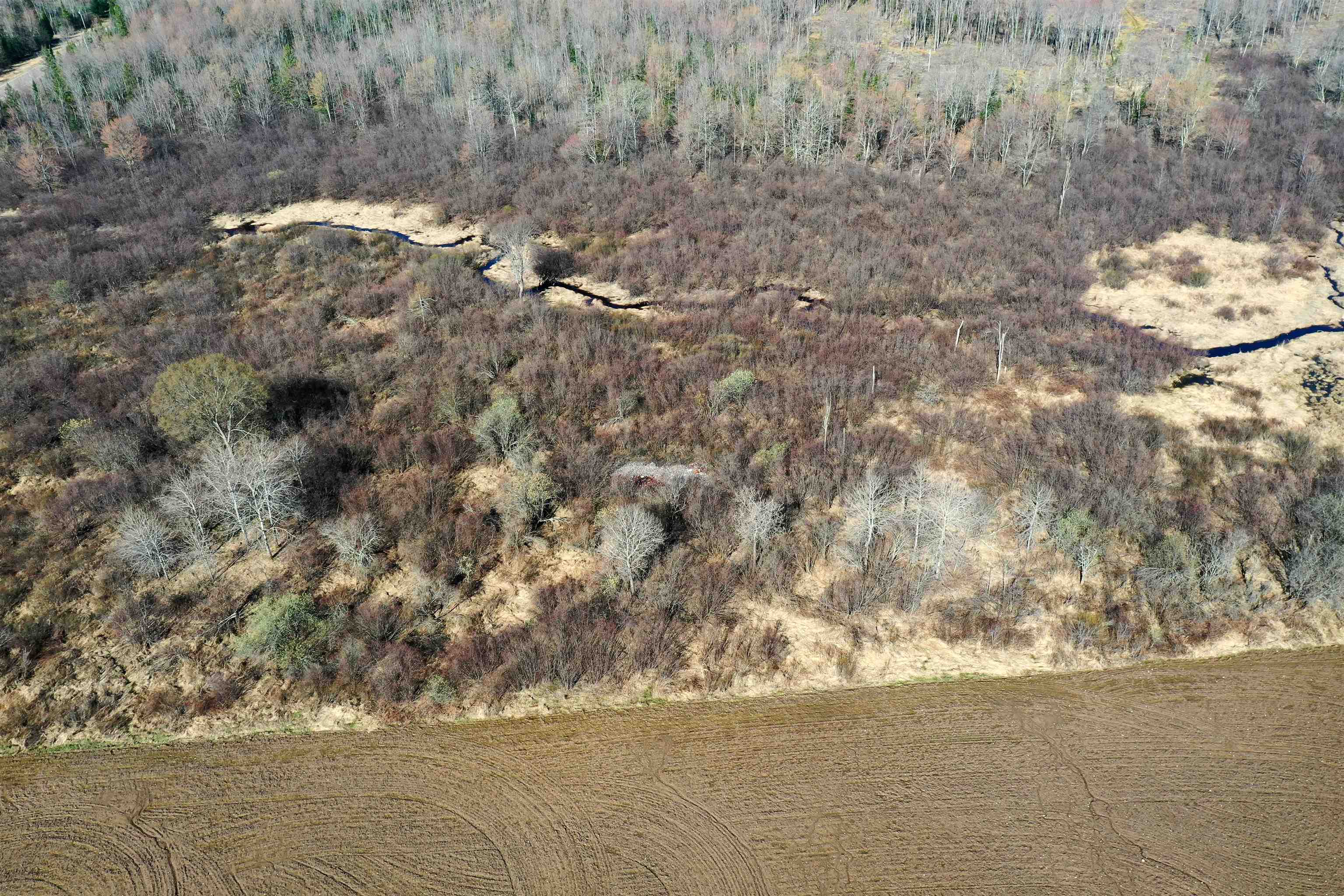 +/-21.35 Acres COUNTY ROAD M, Rib Lake, Wisconsin 54470, ,Land,For Sale,+/-21.35 Acres COUNTY ROAD M,22505405