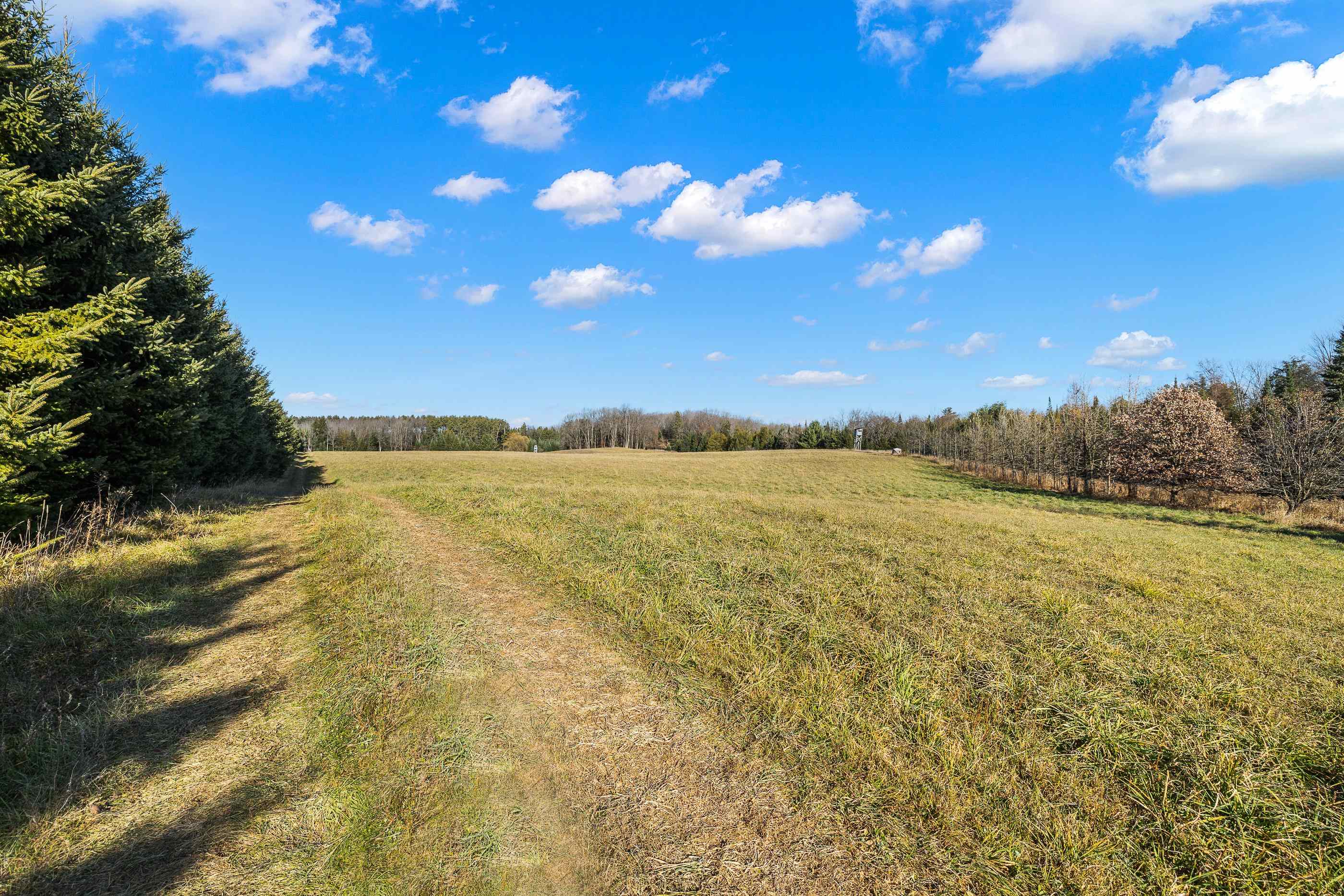 Lot 1 & 2 MAPLE LANE, Tigerton, Wisconsin 54486, ,Land,For Sale,Lot 1 & 2 MAPLE LANE,22505435