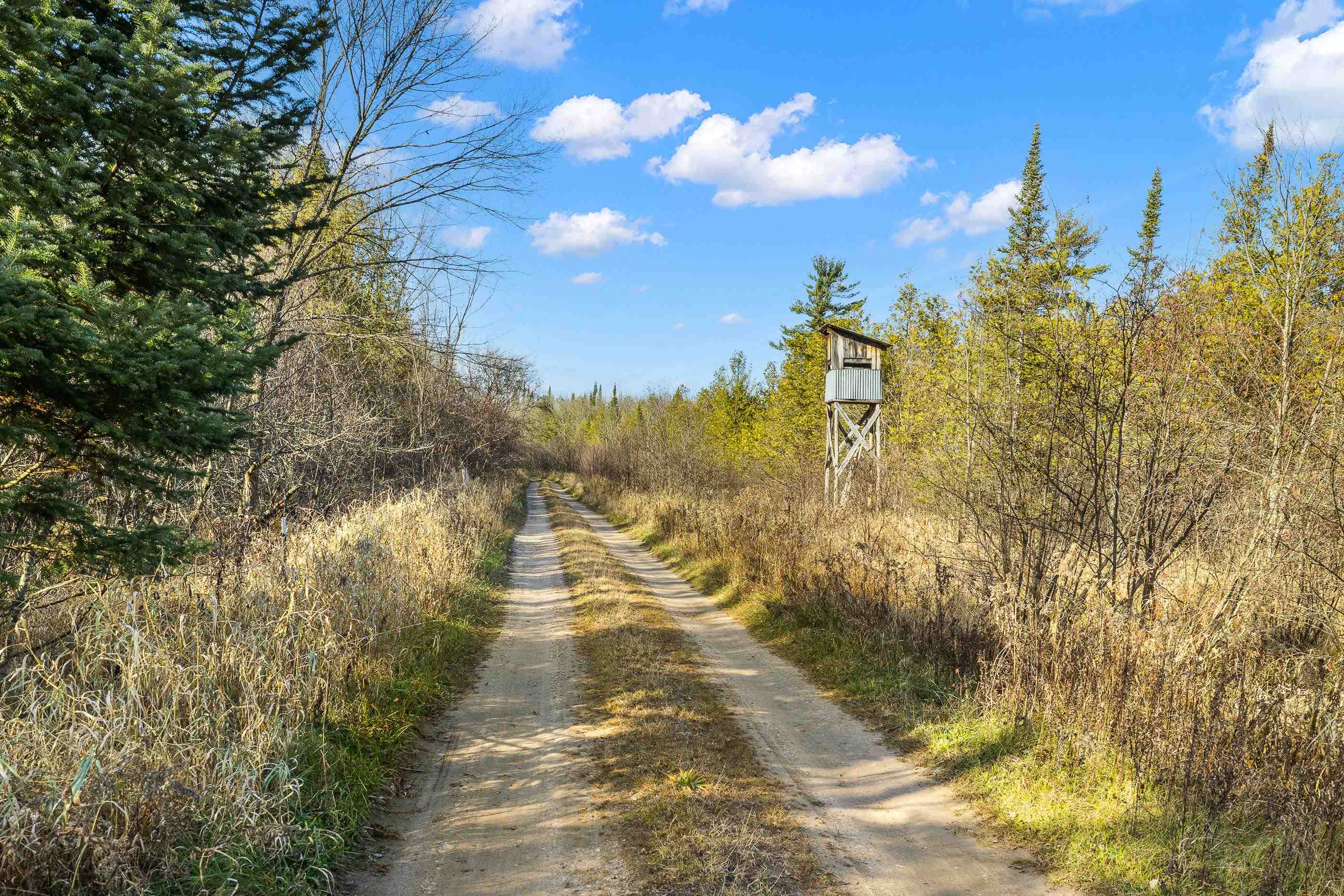 Lot 3 MAPLE LANE, Tigerton, Wisconsin 54486, ,Land,For Sale,Lot 3 MAPLE LANE,22505436