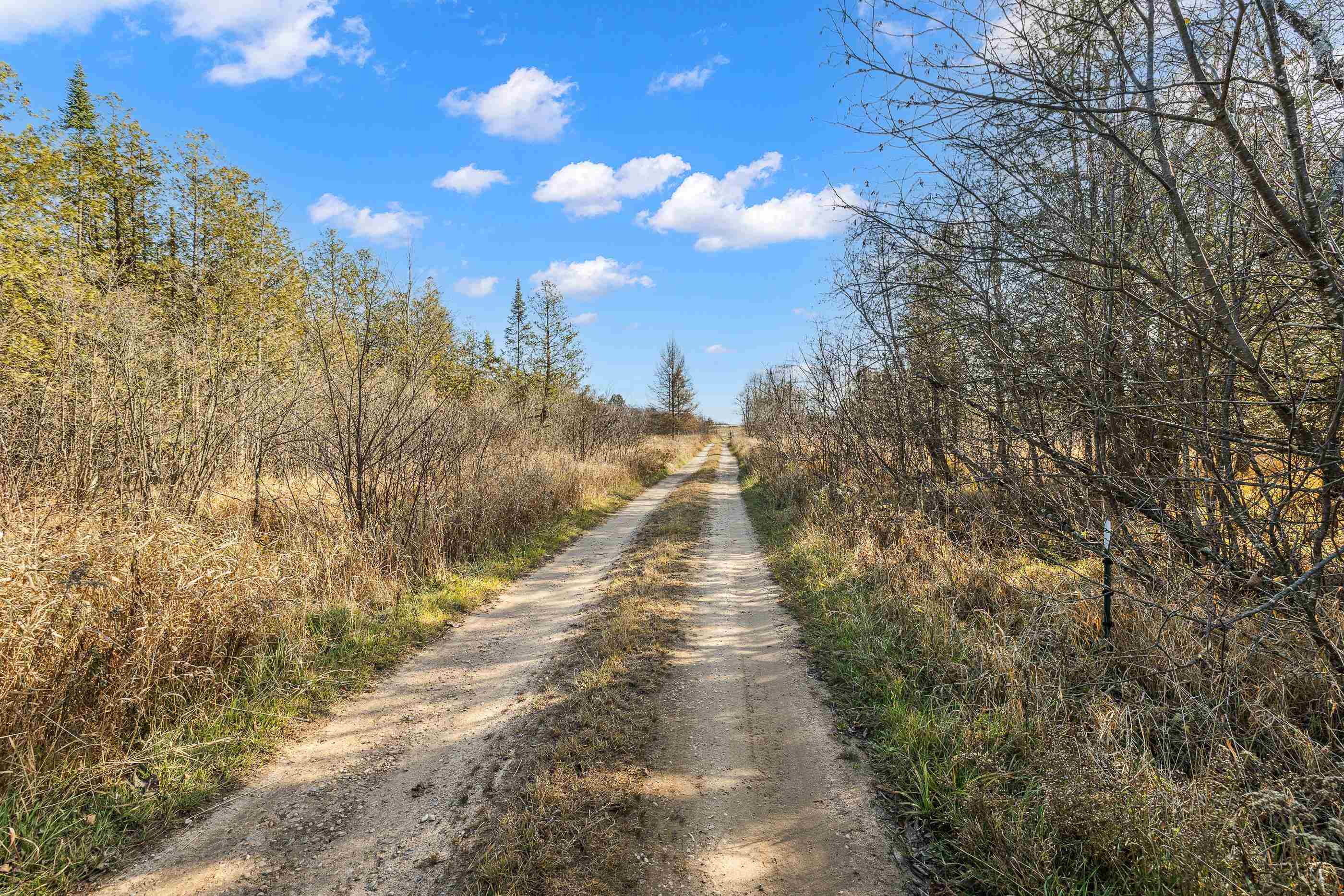 Lot 3 MAPLE LANE, Tigerton, Wisconsin 54486, ,Land,For Sale,Lot 3 MAPLE LANE,22505436