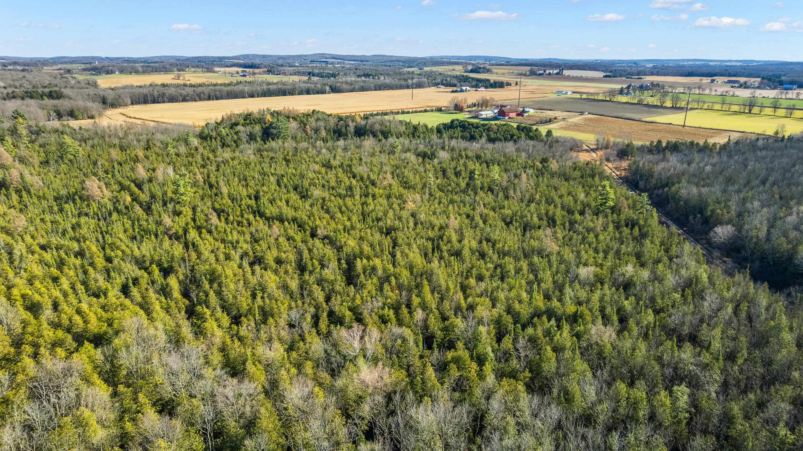 Lot 3 MAPLE LANE, Tigerton, Wisconsin 54486, ,Land,For Sale,Lot 3 MAPLE LANE,22505436