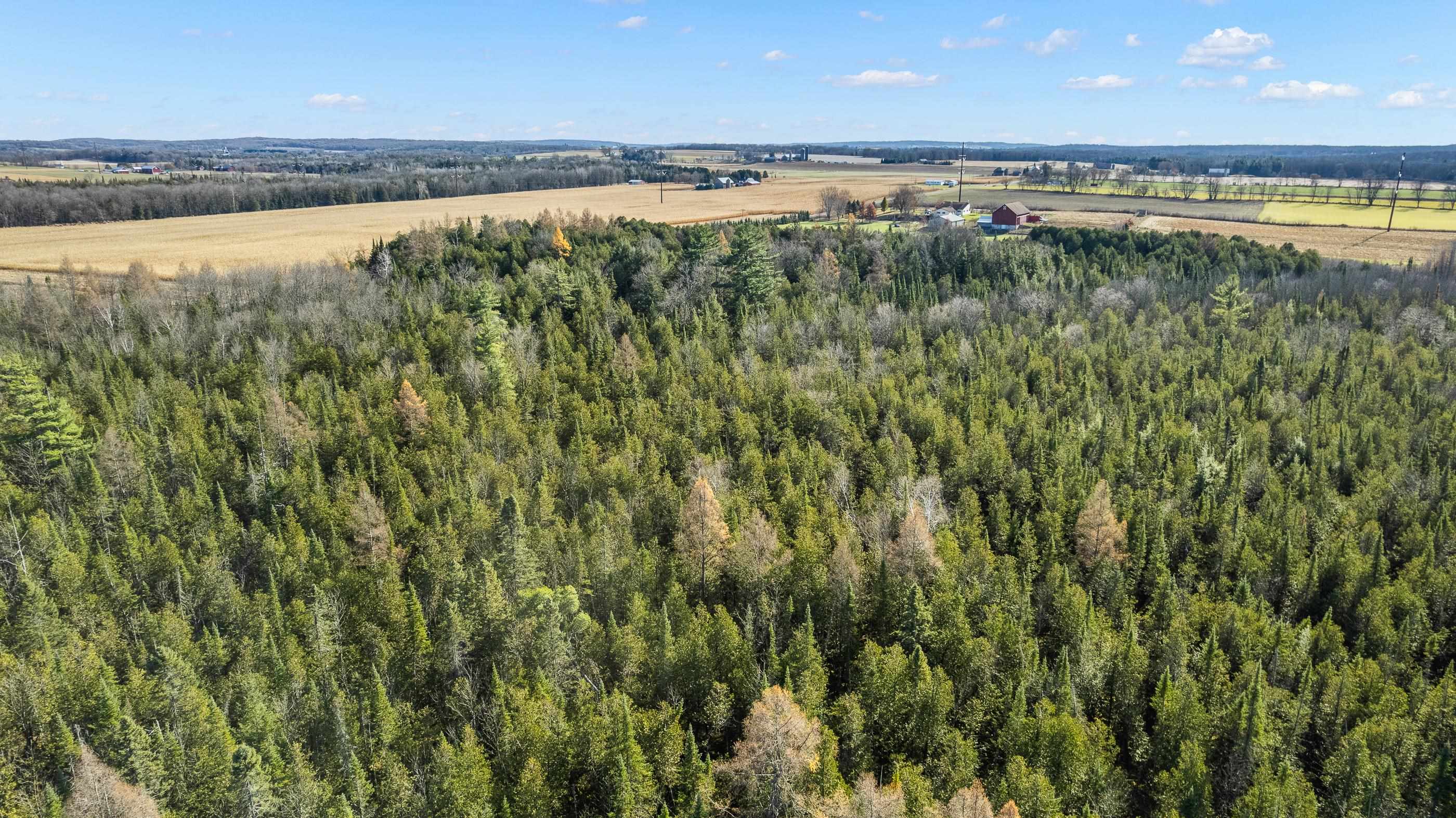 Lot 3 MAPLE LANE, Tigerton, Wisconsin 54486, ,Land,For Sale,Lot 3 MAPLE LANE,22505436