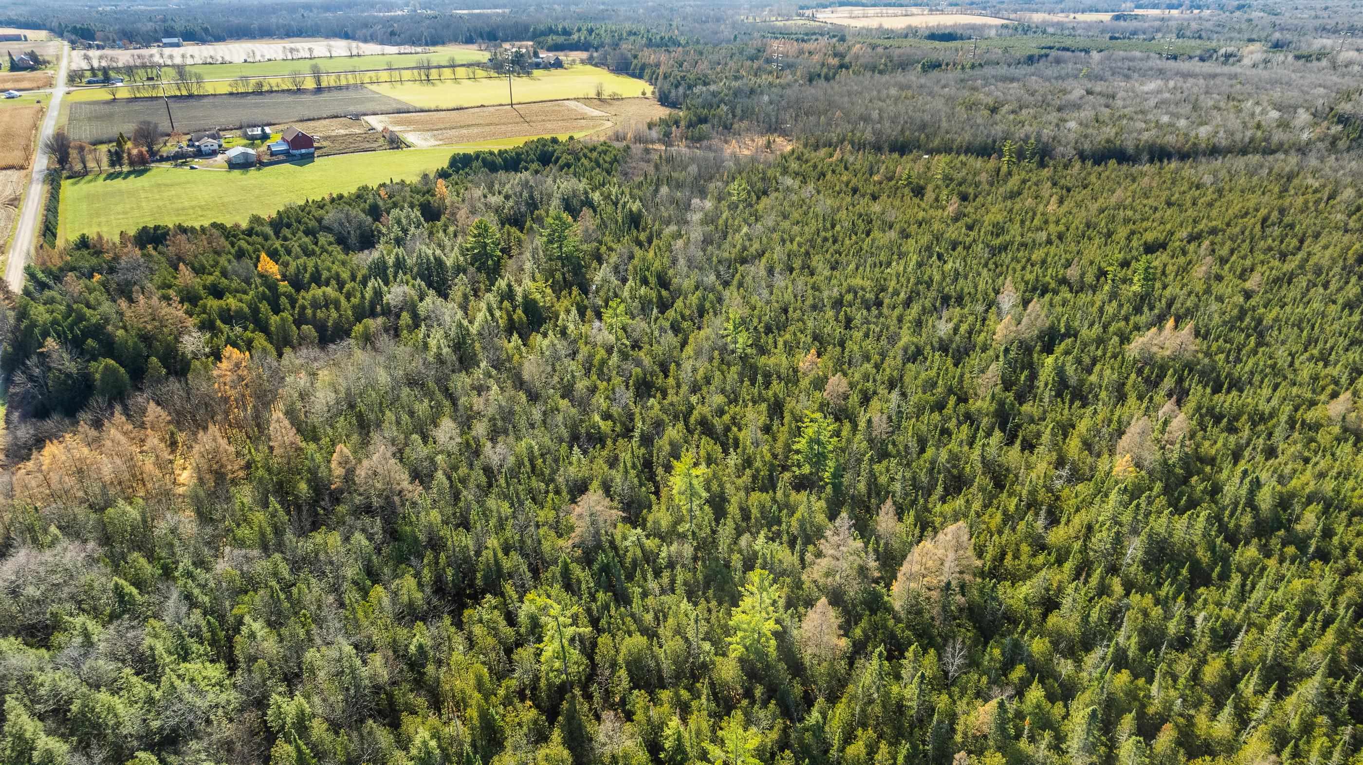 Lot 3 MAPLE LANE, Tigerton, Wisconsin 54486, ,Land,For Sale,Lot 3 MAPLE LANE,22505436
