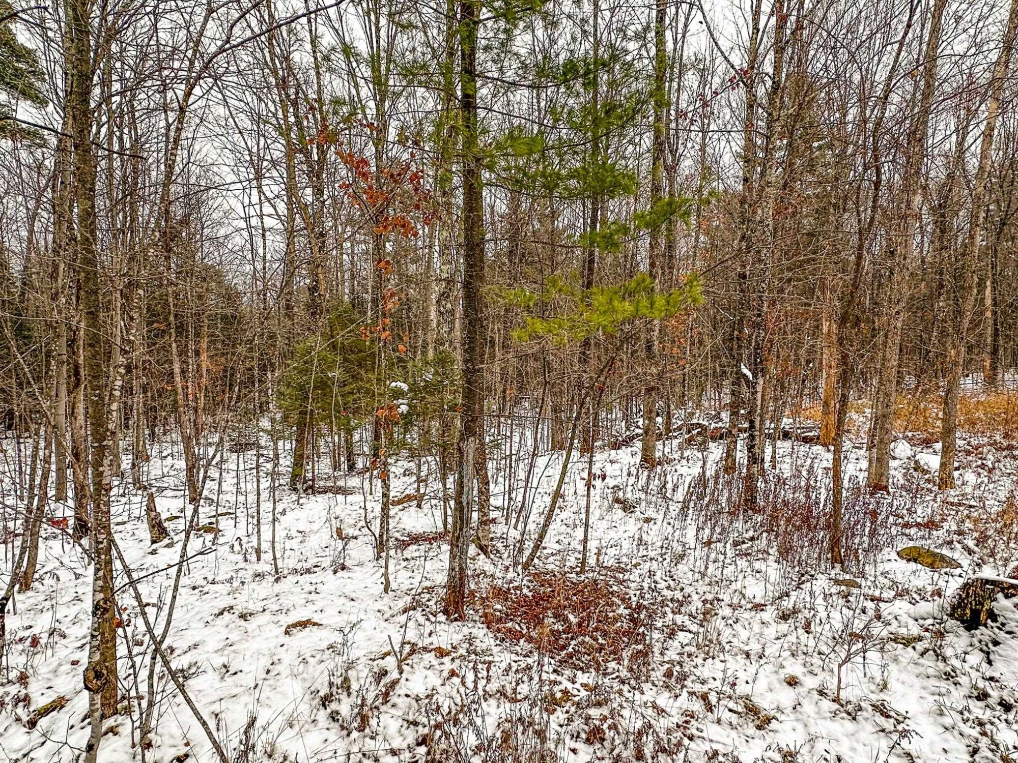 N10660 TOWER ROAD, Phillips, Wisconsin 54555, 1 Bedroom Bedrooms, ,1 BathroomBathrooms,Residential,For Sale,N10660 TOWER ROAD,22505437