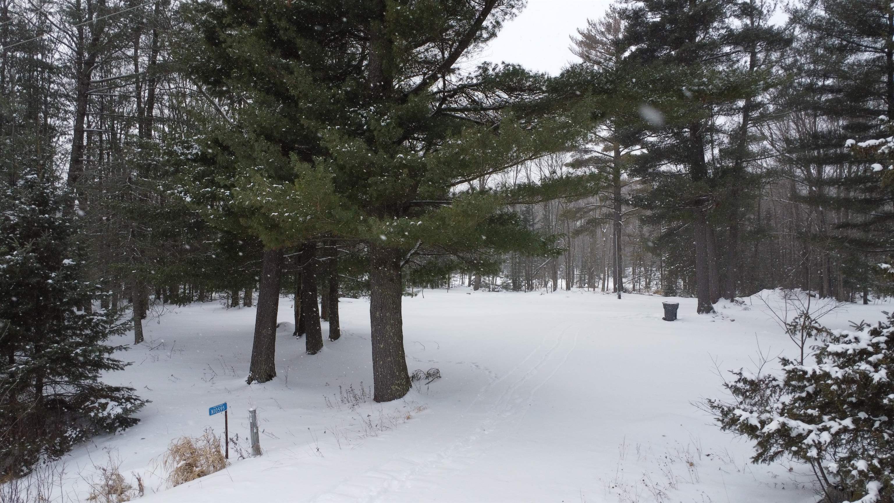 N10595 STATE HIGHWAY 45, Birnamwood, Wisconsin 54414, ,Land,For Sale,N10595 STATE HIGHWAY 45,22505486