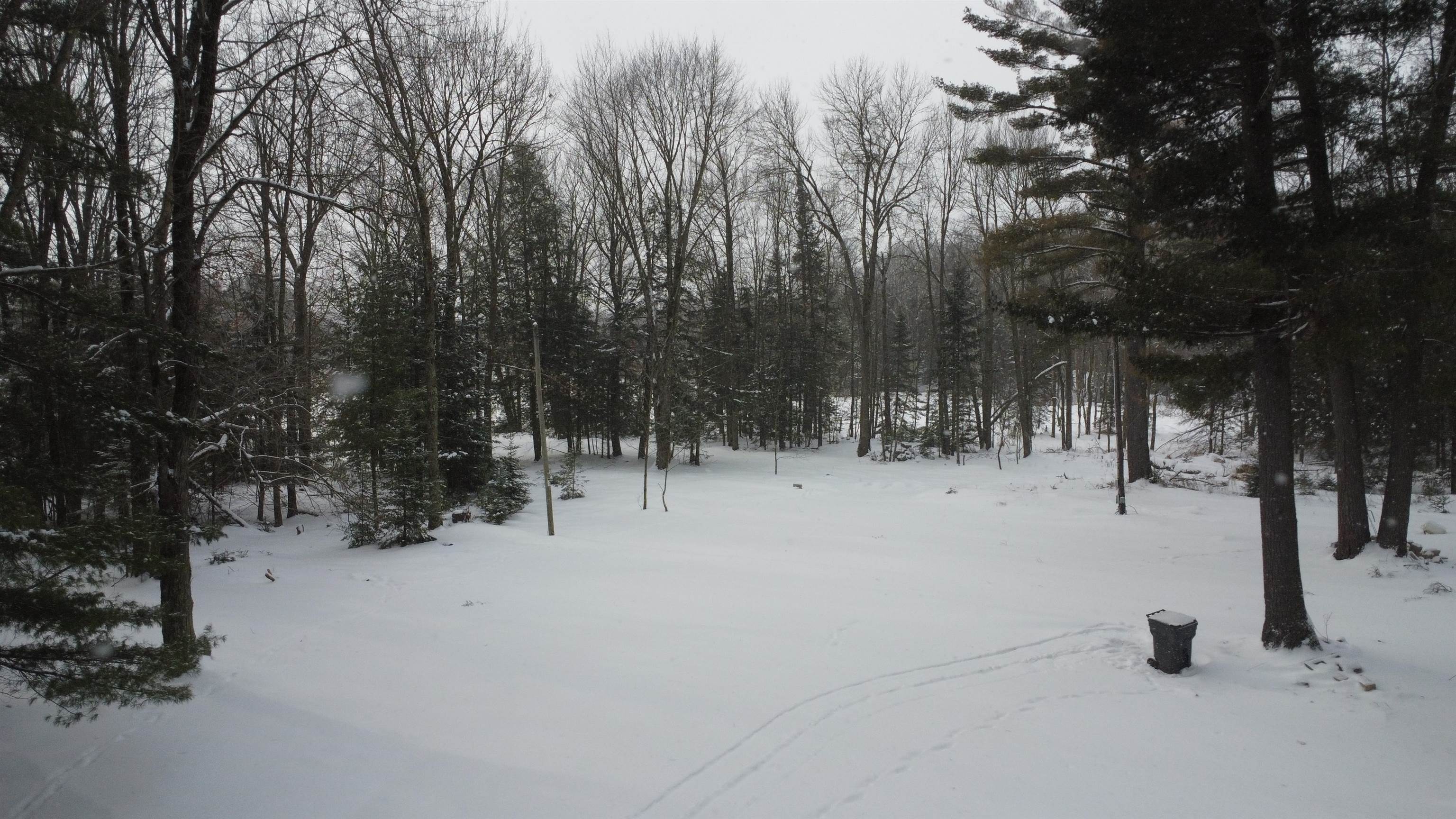 N10595 STATE HIGHWAY 45, Birnamwood, Wisconsin 54414, ,Land,For Sale,N10595 STATE HIGHWAY 45,22505486