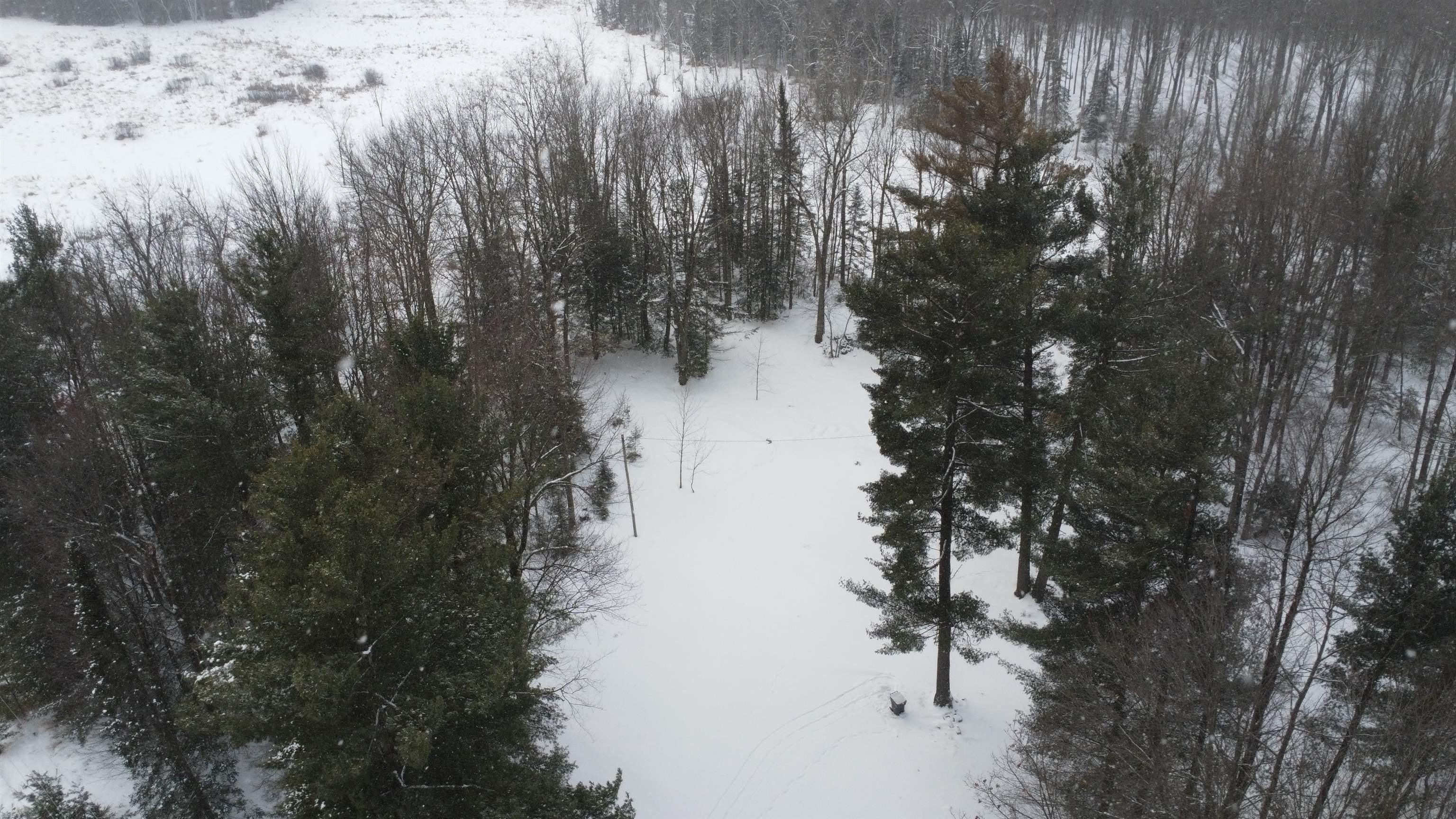 N10595 STATE HIGHWAY 45, Birnamwood, Wisconsin 54414, ,Land,For Sale,N10595 STATE HIGHWAY 45,22505486