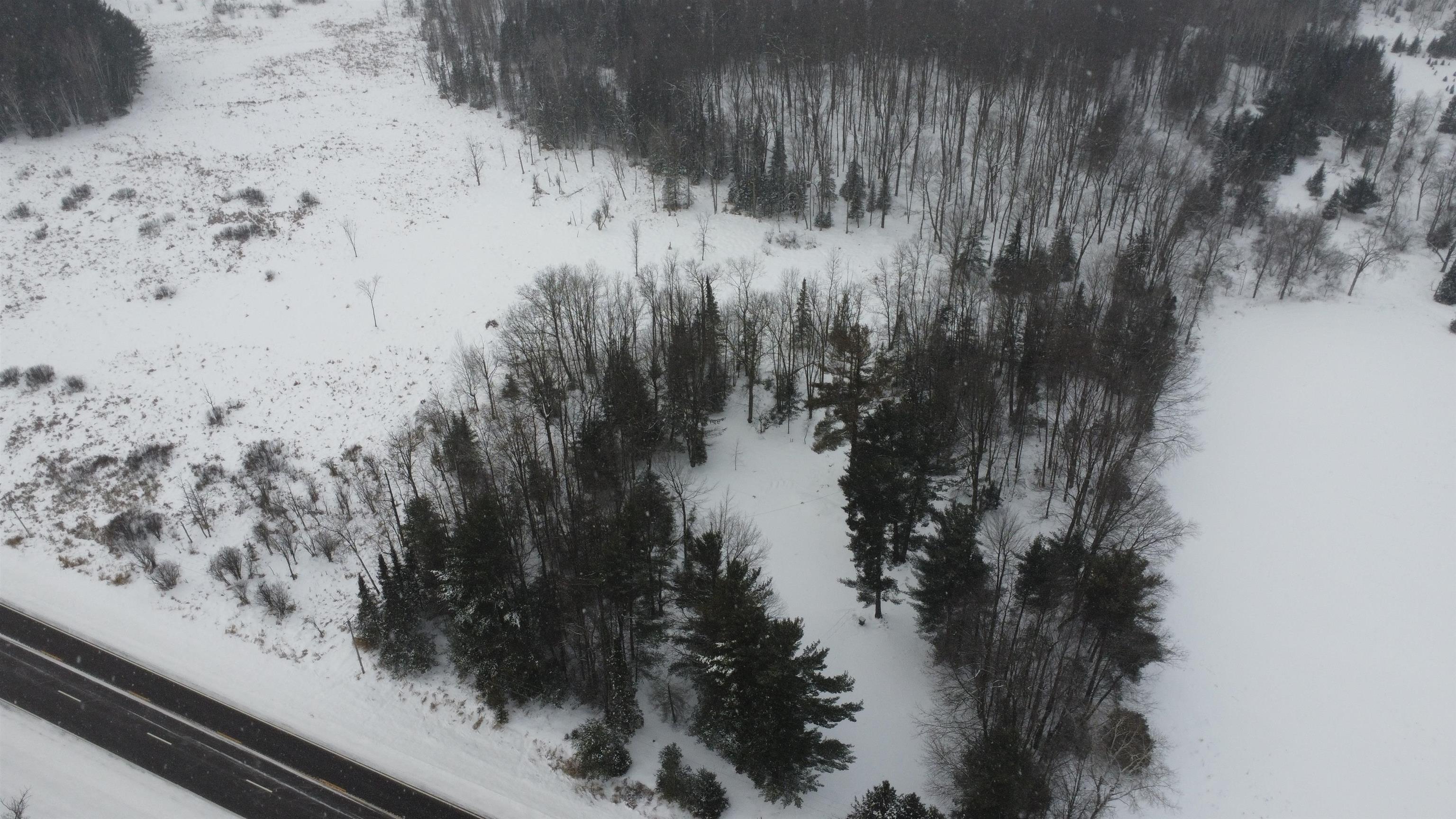 N10595 STATE HIGHWAY 45, Birnamwood, Wisconsin 54414, ,Land,For Sale,N10595 STATE HIGHWAY 45,22505486