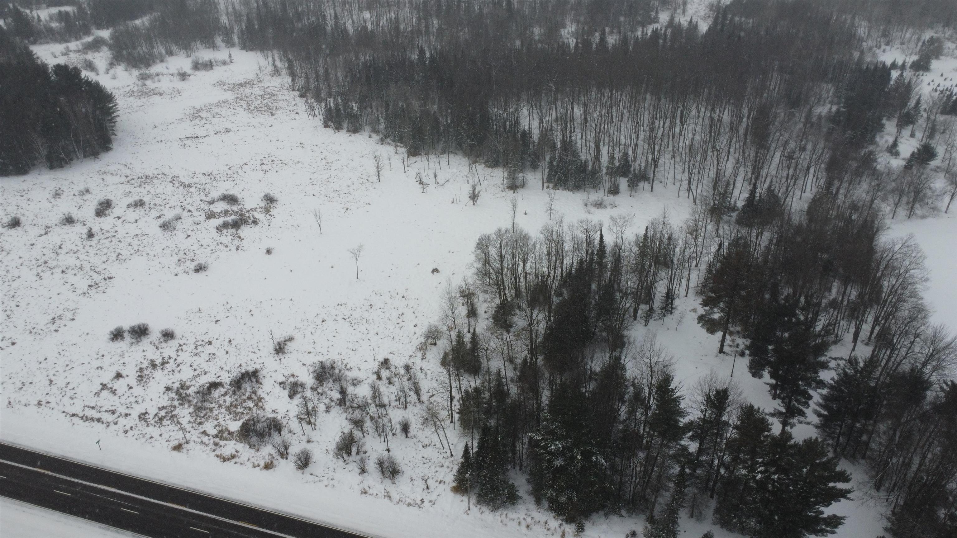 N10595 STATE HIGHWAY 45, Birnamwood, Wisconsin 54414, ,Land,For Sale,N10595 STATE HIGHWAY 45,22505486