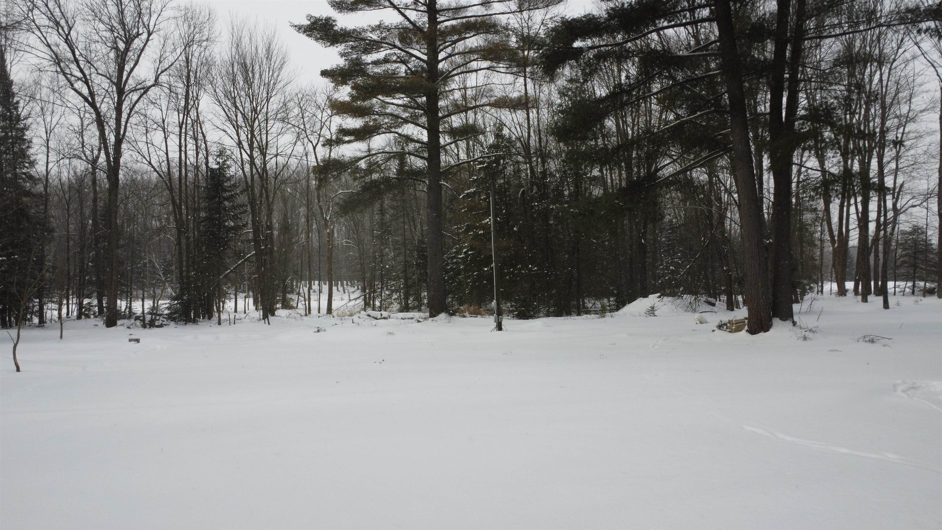 N10595 STATE HIGHWAY 45, Birnamwood, Wisconsin 54414, ,Land,For Sale,N10595 STATE HIGHWAY 45,22505486