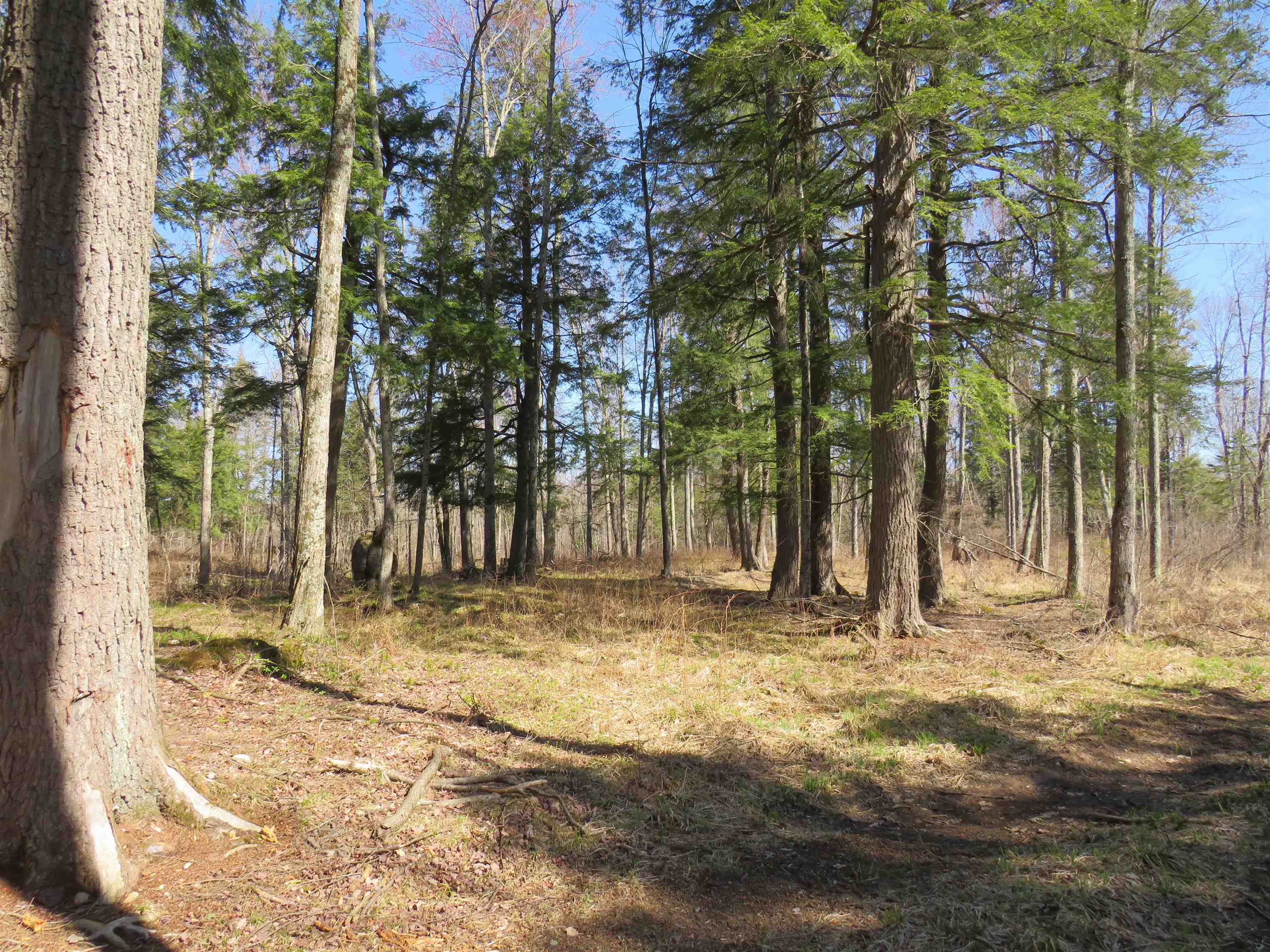 N2698 WEGNER ROAD, Merrill, Wisconsin 54452, ,Land,For Sale,N2698 WEGNER ROAD,22505487