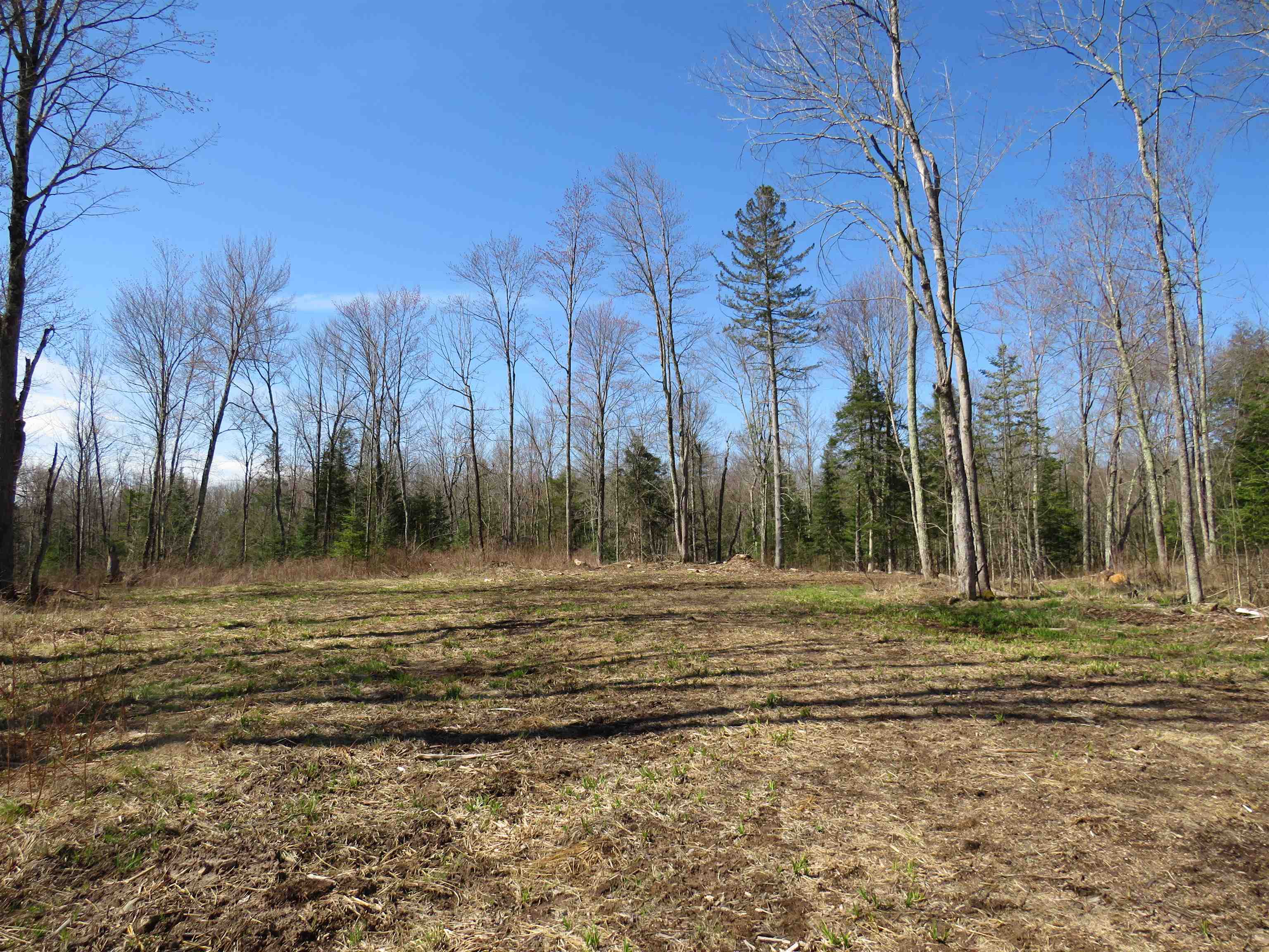 N2698 WEGNER ROAD, Merrill, Wisconsin 54452, ,Land,For Sale,N2698 WEGNER ROAD,22505487