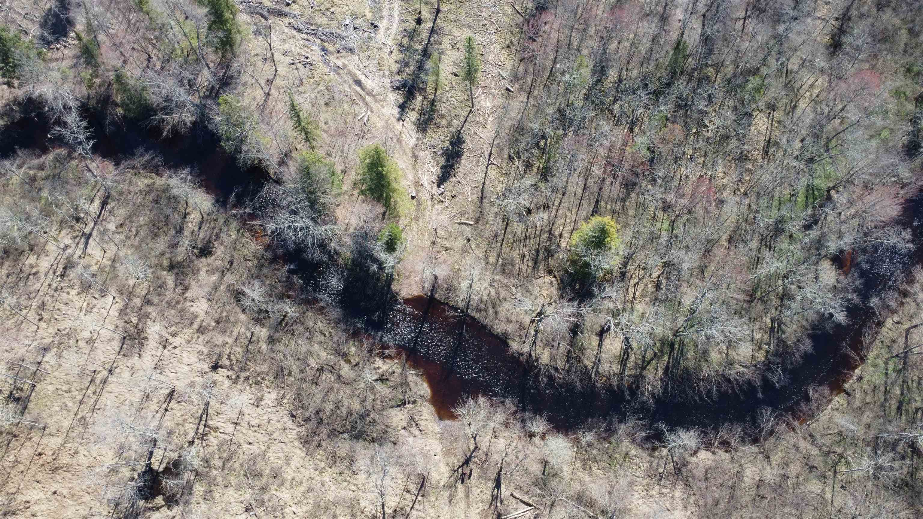 N2698 WEGNER ROAD, Merrill, Wisconsin 54452, ,Land,For Sale,N2698 WEGNER ROAD,22505487