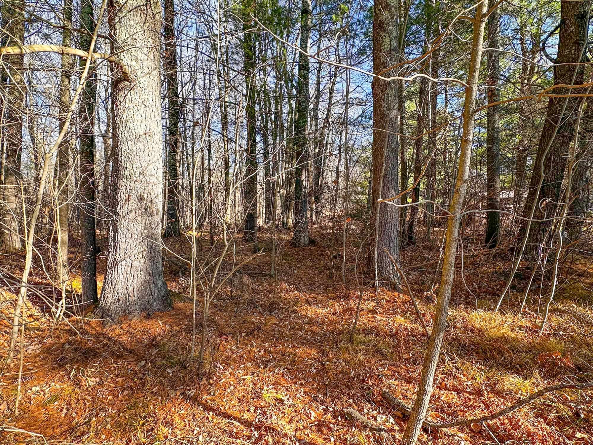 4824N LAKE WINTER ROAD, Winter, Wisconsin 54896, 3 Bedrooms Bedrooms, ,2 BathroomsBathrooms,Residential,For Sale,4824N LAKE WINTER ROAD,22505507