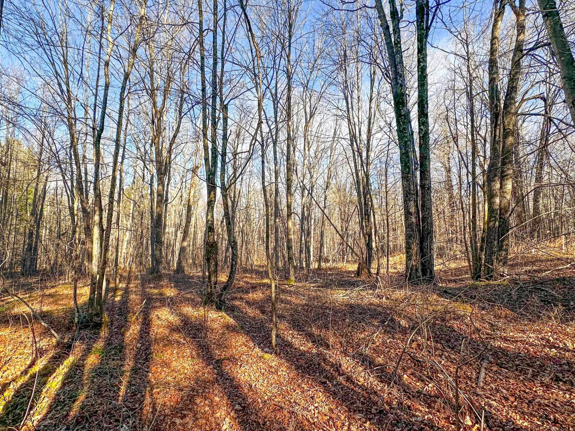 4824N LAKE WINTER ROAD, Winter, Wisconsin 54896, 3 Bedrooms Bedrooms, ,2 BathroomsBathrooms,Residential,For Sale,4824N LAKE WINTER ROAD,22505507