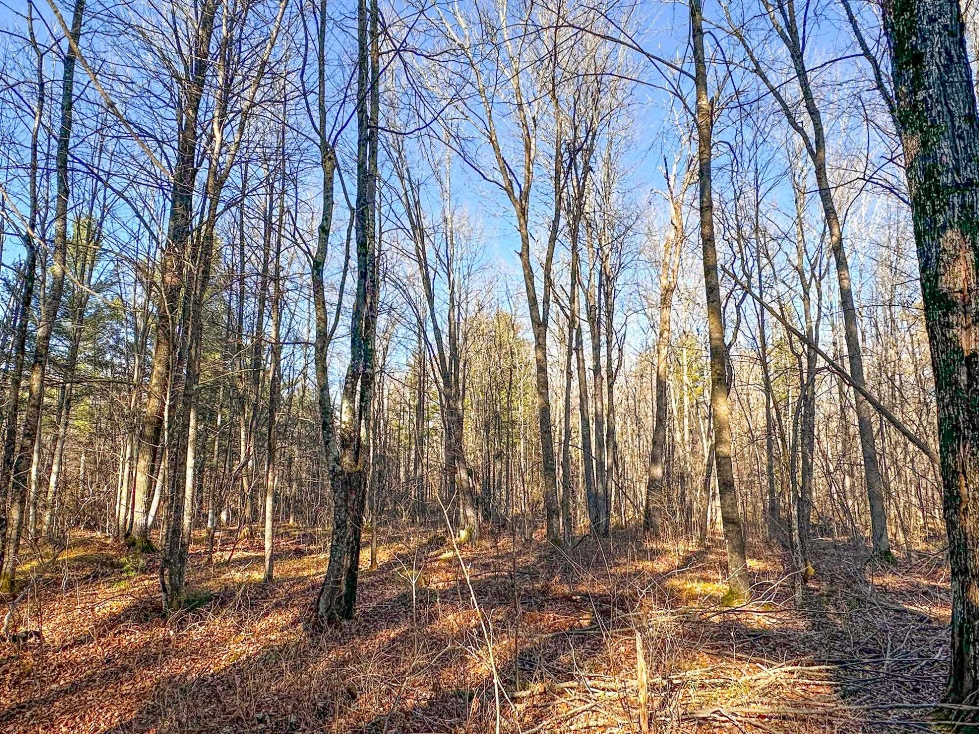 4824N LAKE WINTER ROAD, Winter, Wisconsin 54896, 3 Bedrooms Bedrooms, ,2 BathroomsBathrooms,Residential,For Sale,4824N LAKE WINTER ROAD,22505507