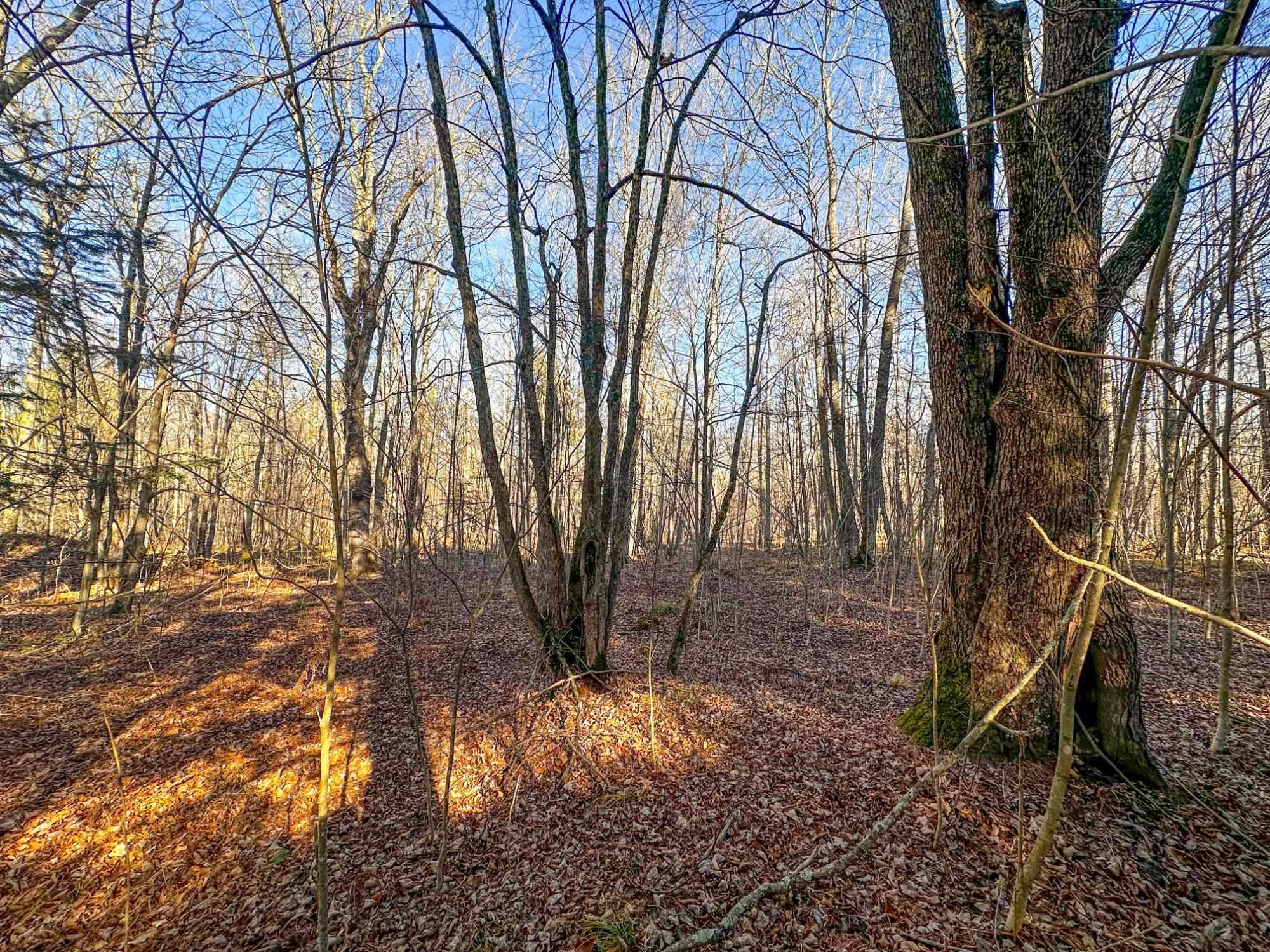 4824N LAKE WINTER ROAD, Winter, Wisconsin 54896, 3 Bedrooms Bedrooms, ,2 BathroomsBathrooms,Residential,For Sale,4824N LAKE WINTER ROAD,22505507