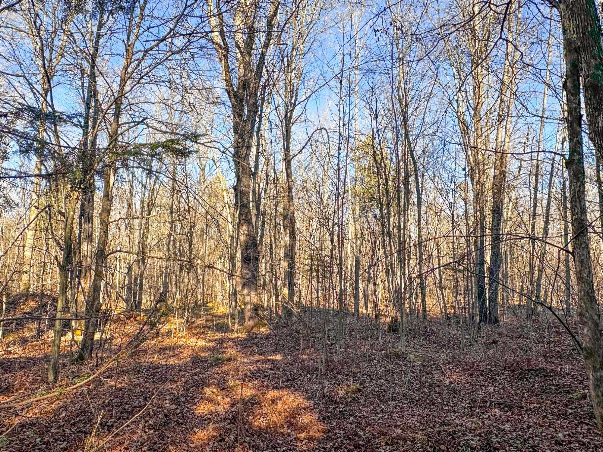 4824N LAKE WINTER ROAD, Winter, Wisconsin 54896, 3 Bedrooms Bedrooms, ,2 BathroomsBathrooms,Residential,For Sale,4824N LAKE WINTER ROAD,22505507