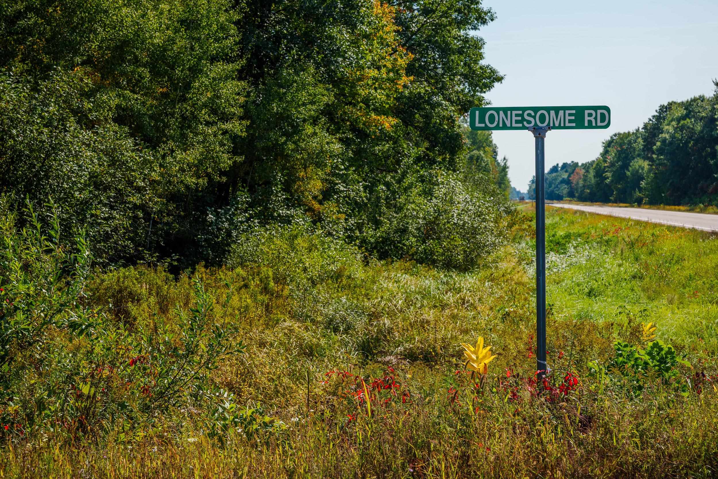Lot 0 LONESOME ROAD, DEXTER, Wisconsin 54495, ,Land,For Sale,Lot 0 LONESOME ROAD,22505520