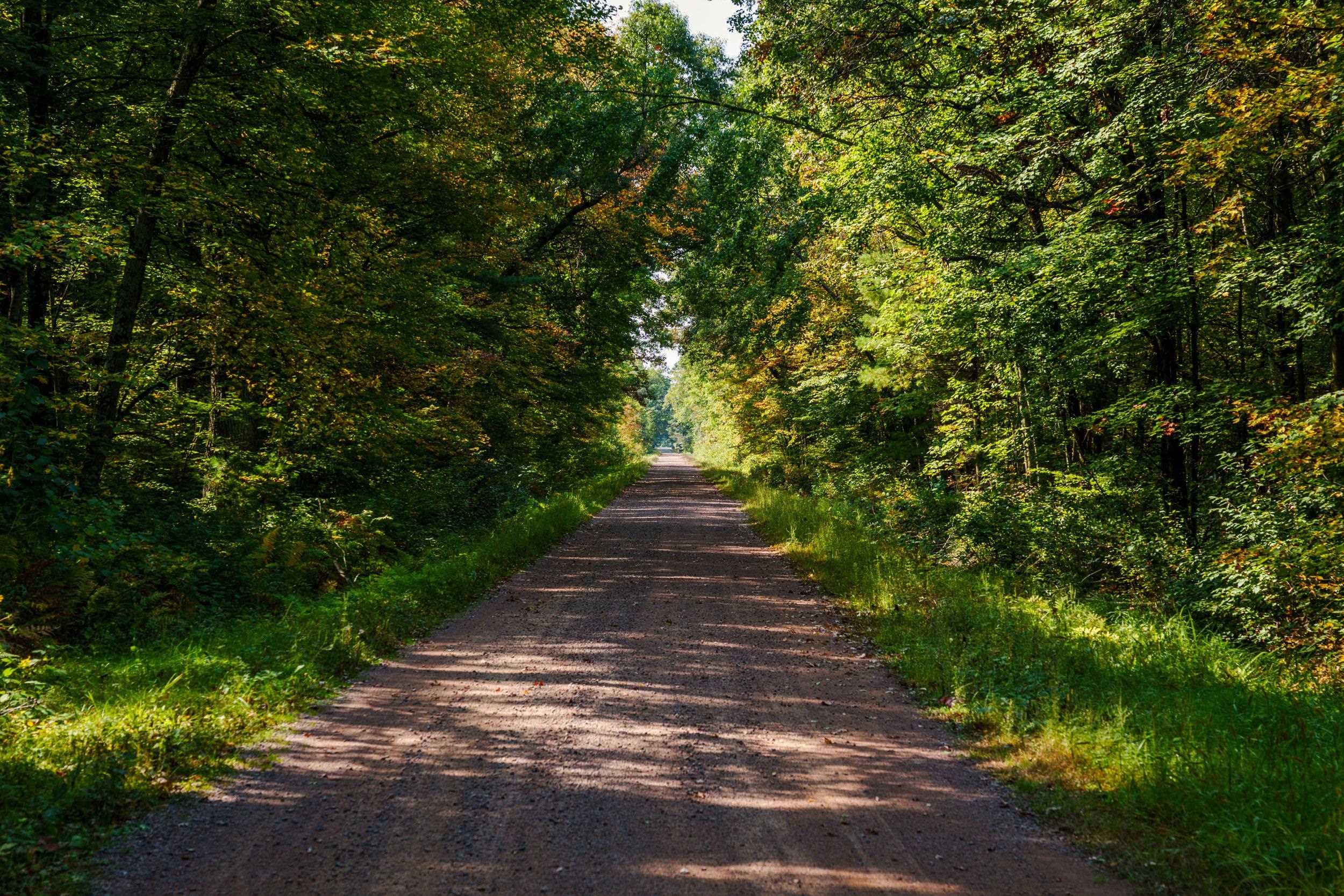 Lot 0 LONESOME ROAD, DEXTER, Wisconsin 54495, ,Land,For Sale,Lot 0 LONESOME ROAD,22505520