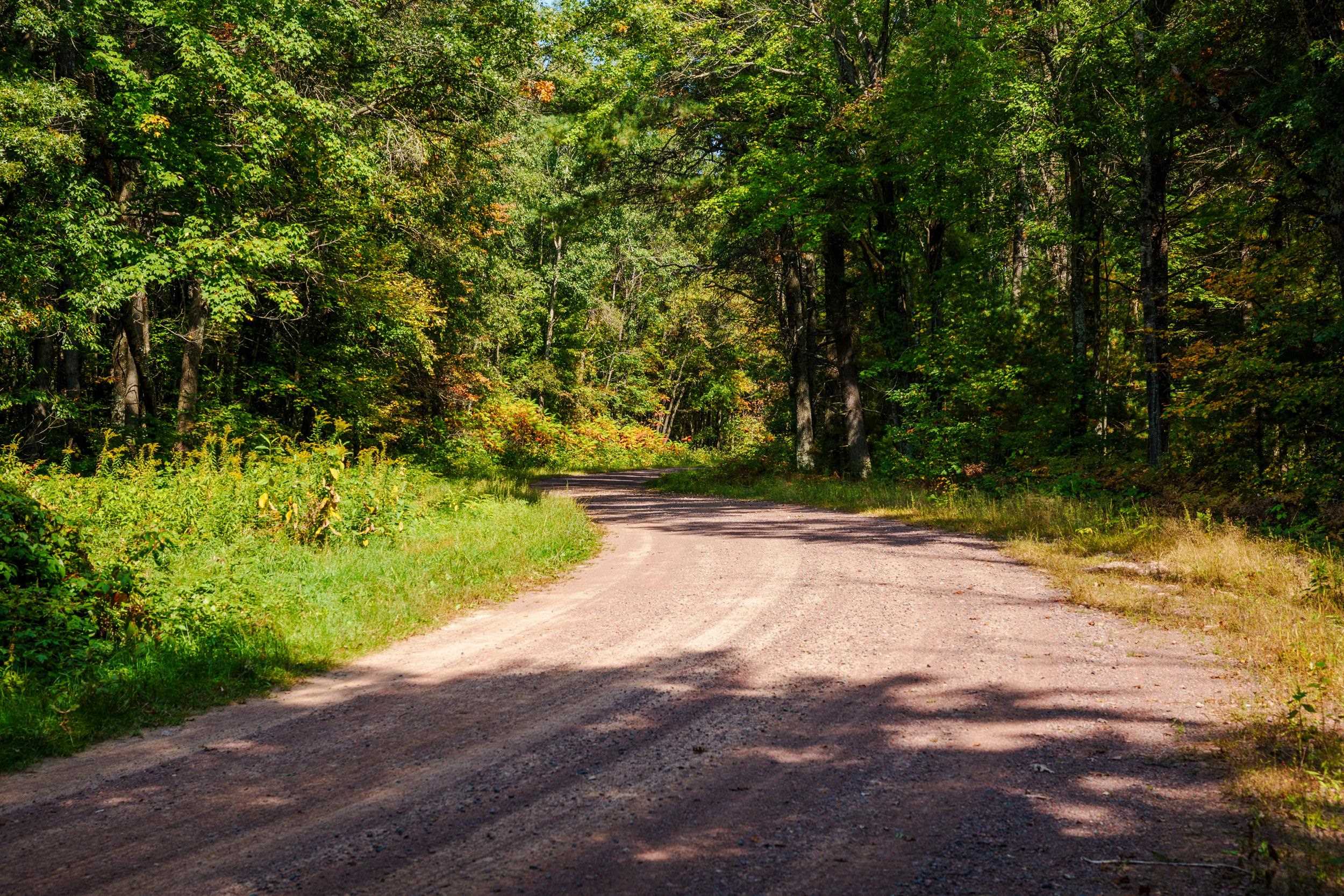 Lot 0 LONESOME ROAD, DEXTER, Wisconsin 54495, ,Land,For Sale,Lot 0 LONESOME ROAD,22505520