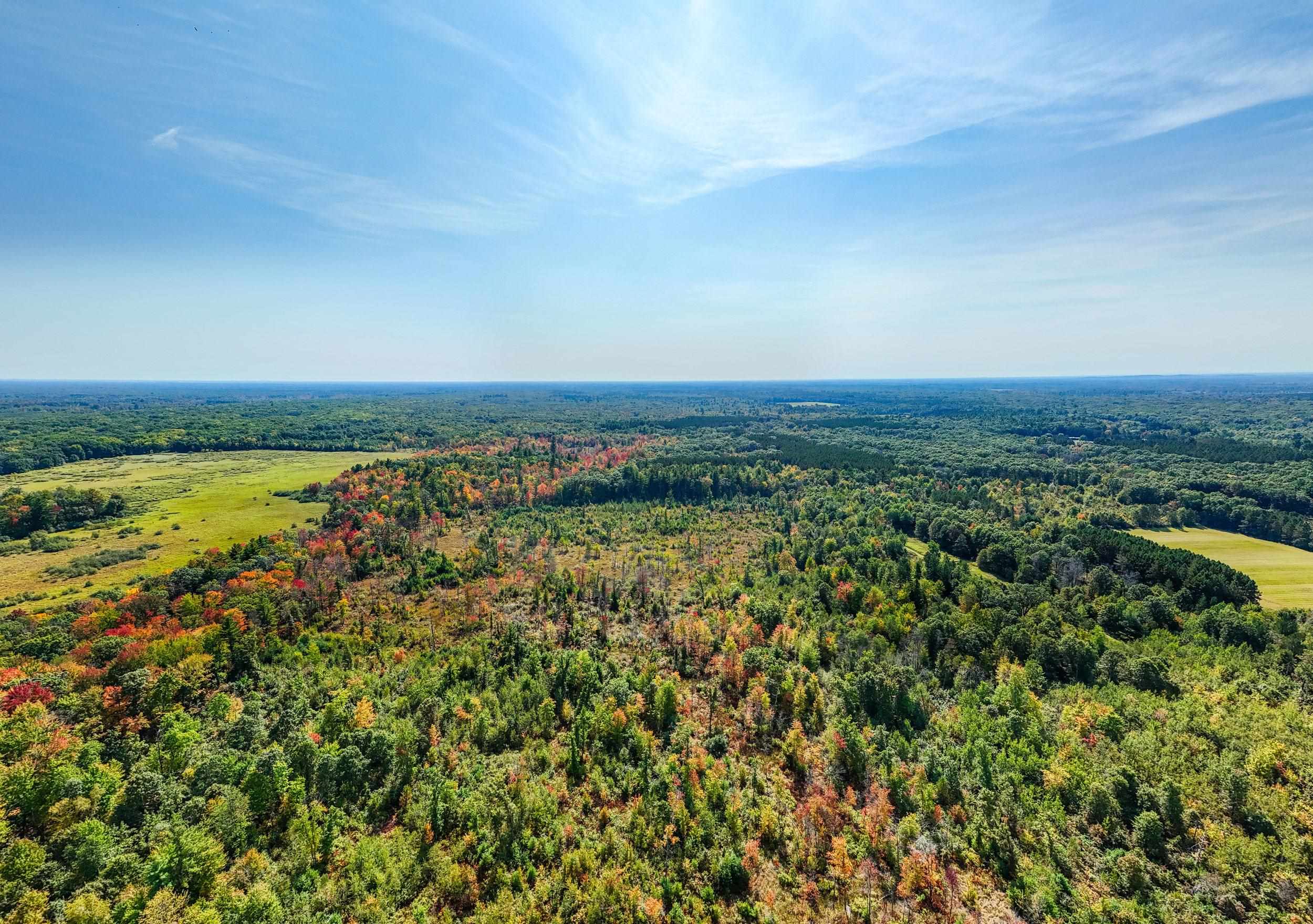 Lot 0 LONESOME ROAD, DEXTER, Wisconsin 54495, ,Land,For Sale,Lot 0 LONESOME ROAD,22505520