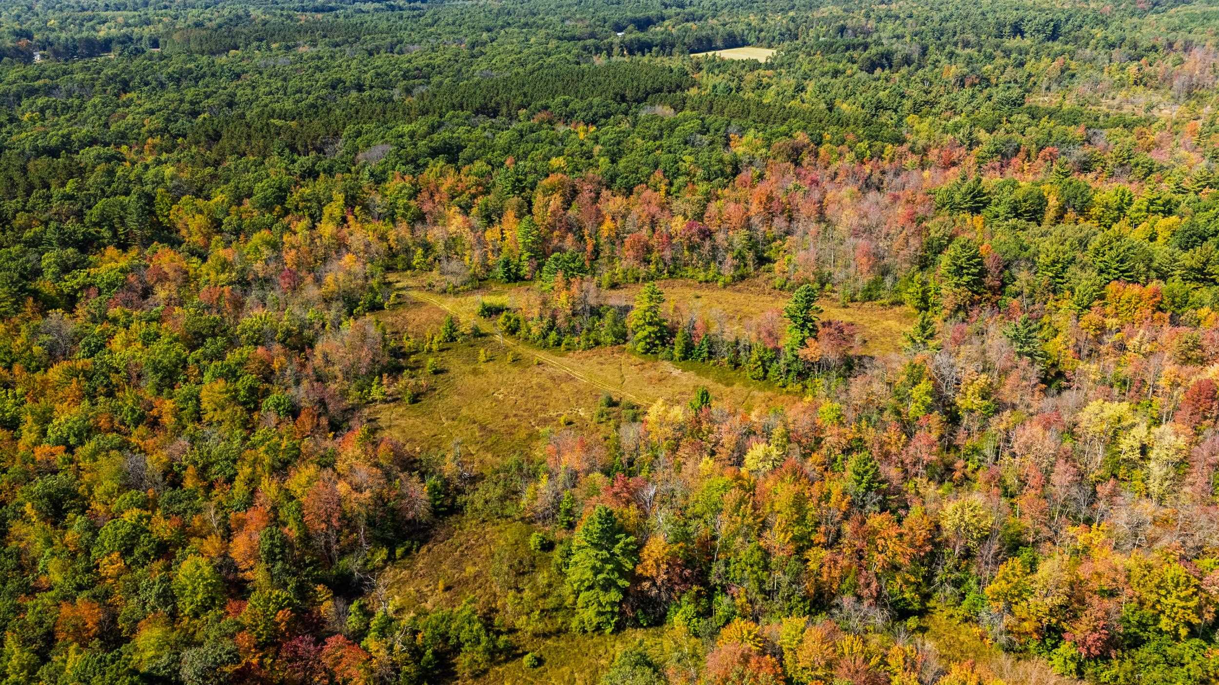 Lot 0 LONESOME ROAD, DEXTER, Wisconsin 54495, ,Land,For Sale,Lot 0 LONESOME ROAD,22505520