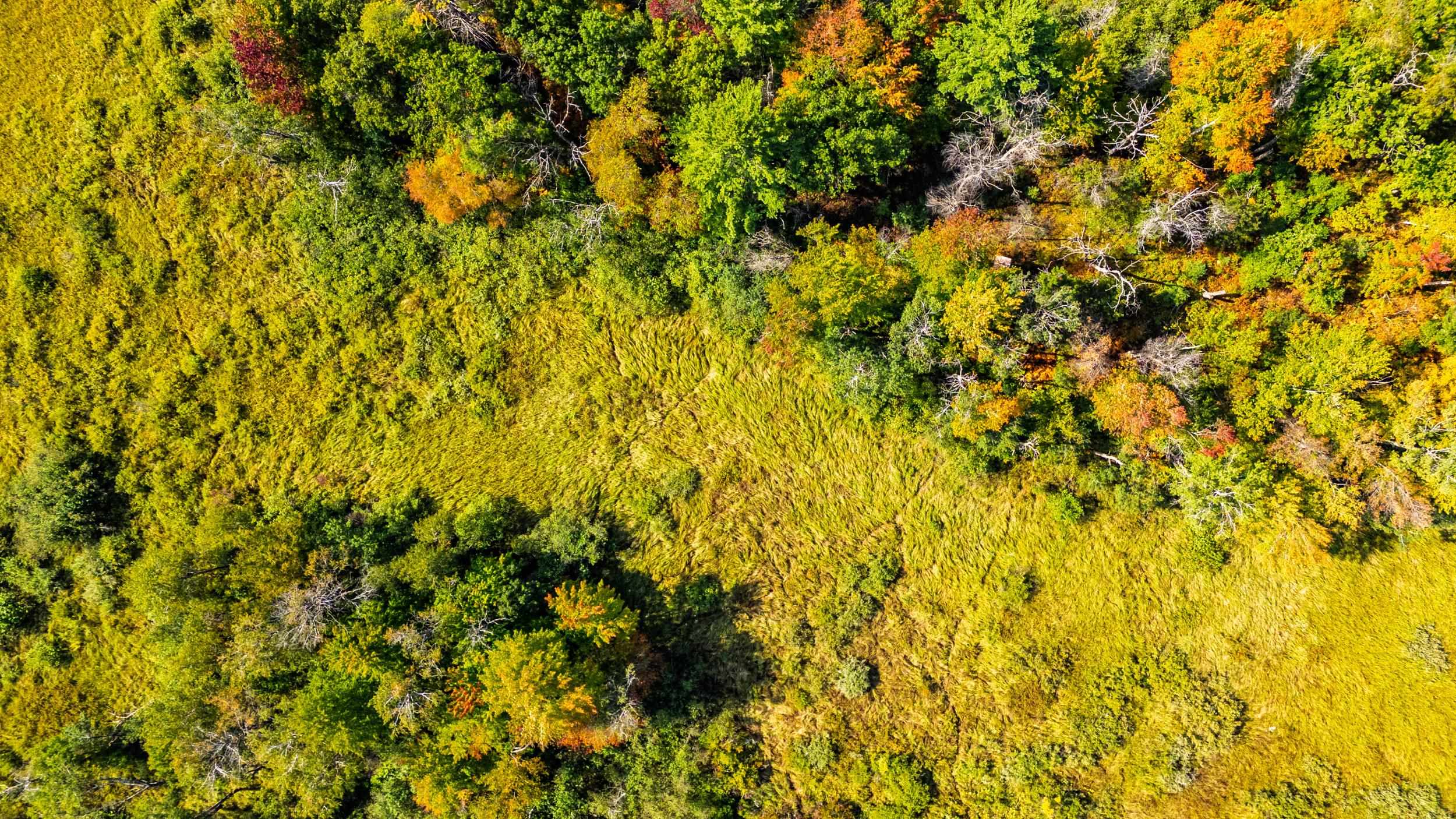 Lot 0 LONESOME ROAD, DEXTER, Wisconsin 54495, ,Land,For Sale,Lot 0 LONESOME ROAD,22505520