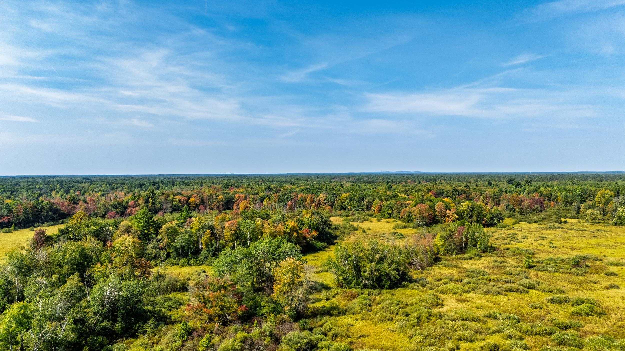 Lot 0 LONESOME ROAD, DEXTER, Wisconsin 54495, ,Land,For Sale,Lot 0 LONESOME ROAD,22505520