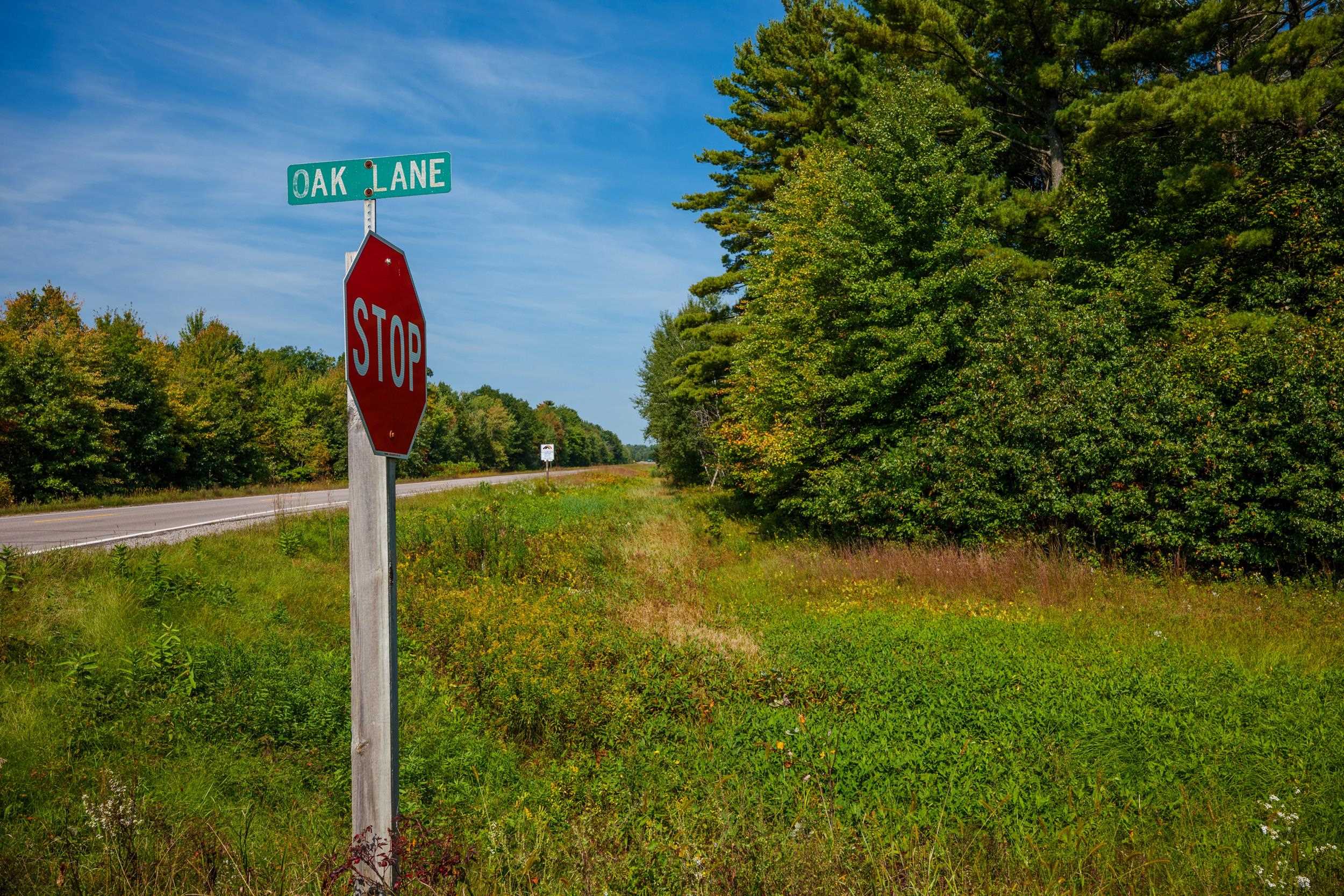 Lot 0 LONESOME ROAD, DEXTER, Wisconsin 54495, ,Land,For Sale,Lot 0 LONESOME ROAD,22505520