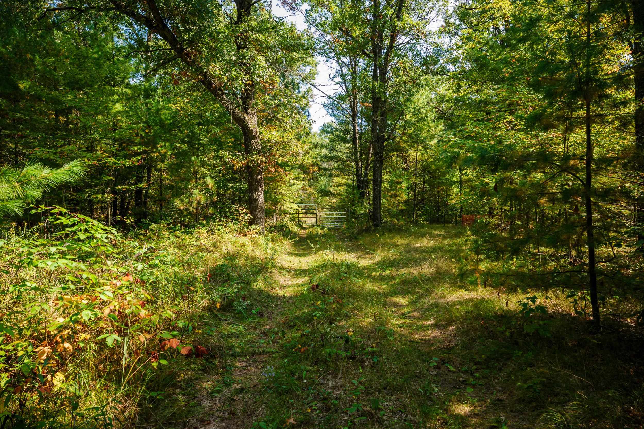 Lot 0 LONESOME ROAD, DEXTER, Wisconsin 54495, ,Land,For Sale,Lot 0 LONESOME ROAD,22505520