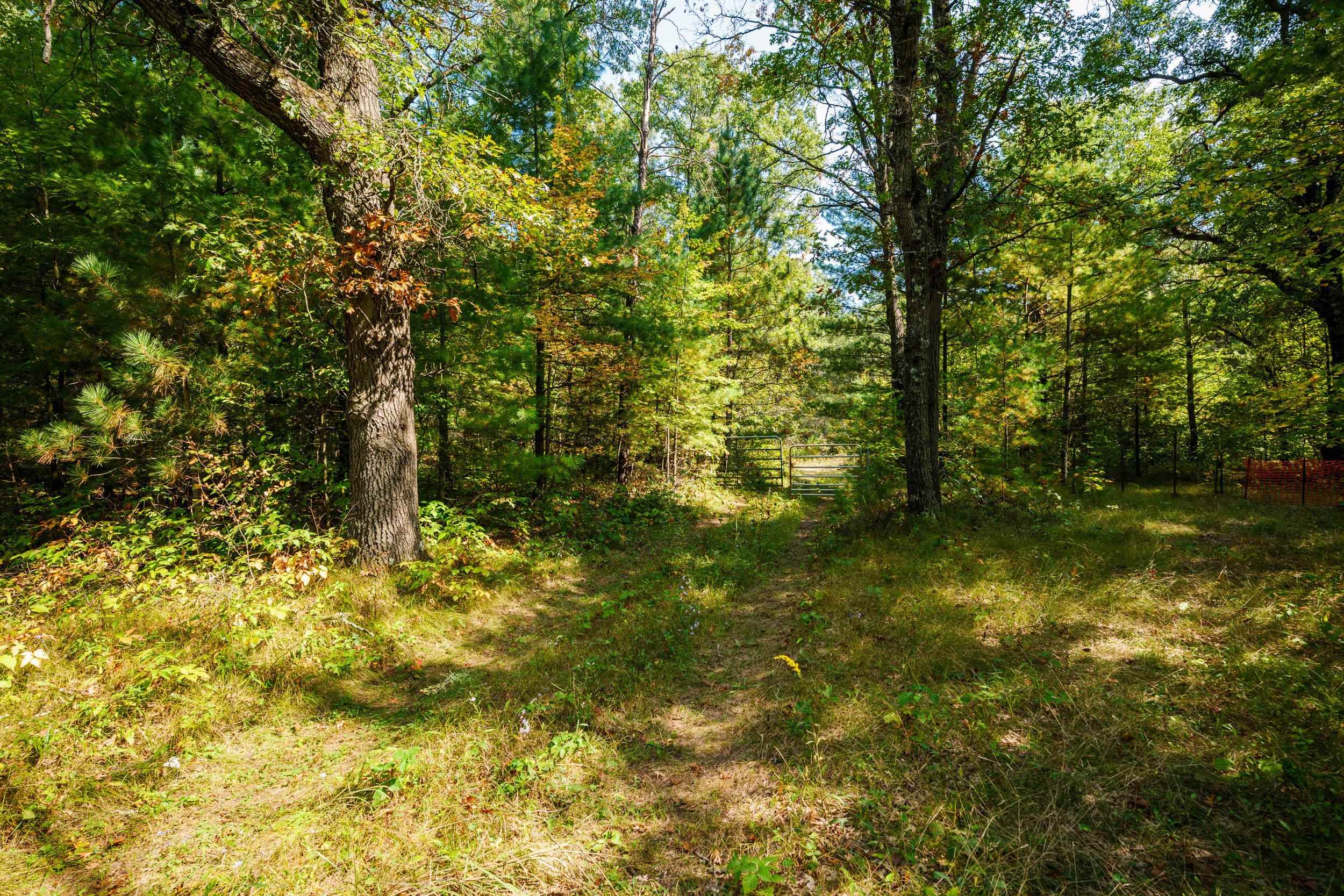 Lot 0 LONESOME ROAD, DEXTER, Wisconsin 54495, ,Land,For Sale,Lot 0 LONESOME ROAD,22505520
