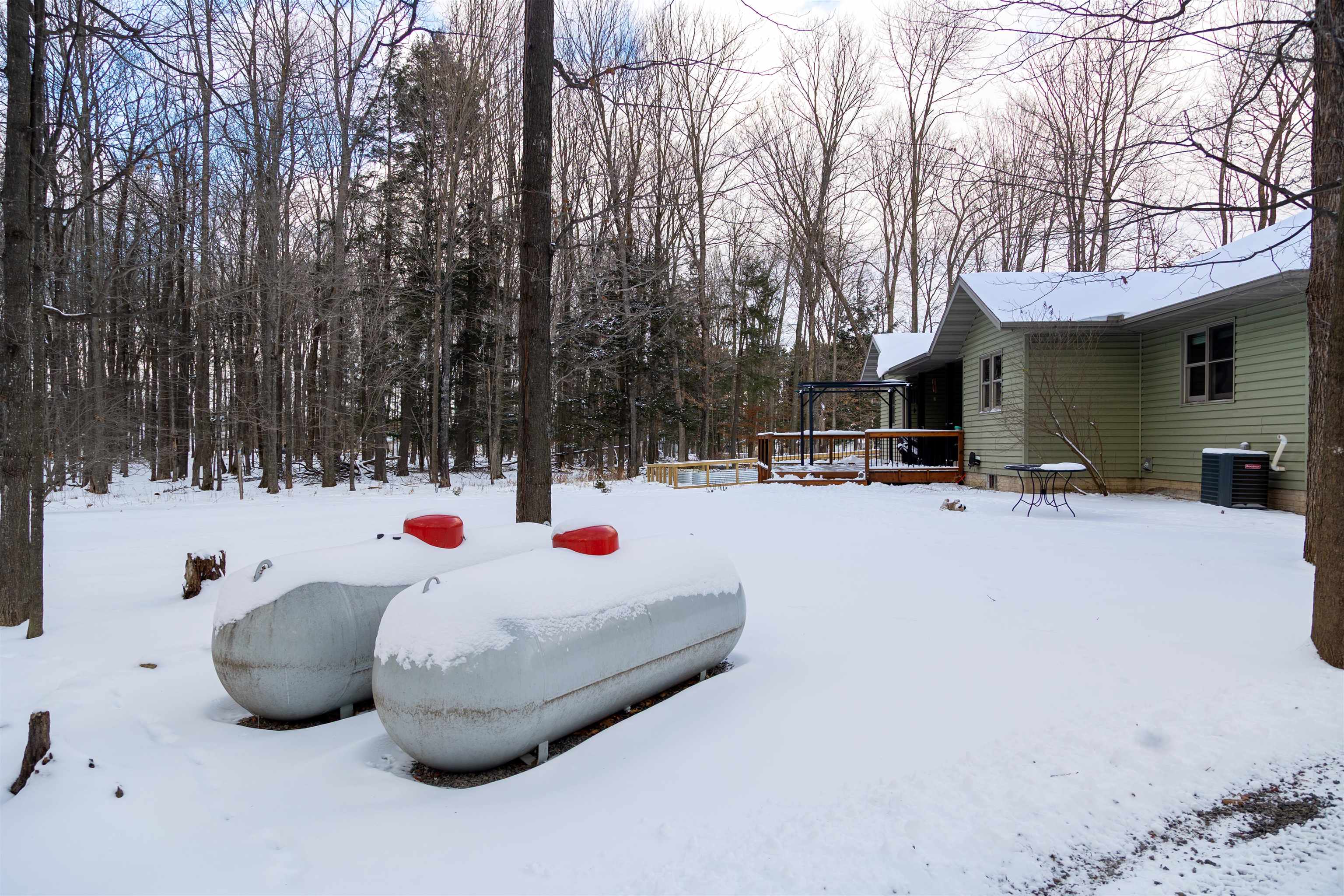 225156 FREDERICK DRIVE, Birnamwood, Wisconsin 54414, 3 Bedrooms Bedrooms, ,2 BathroomsBathrooms,Residential,For Sale,225156 FREDERICK DRIVE,22505579