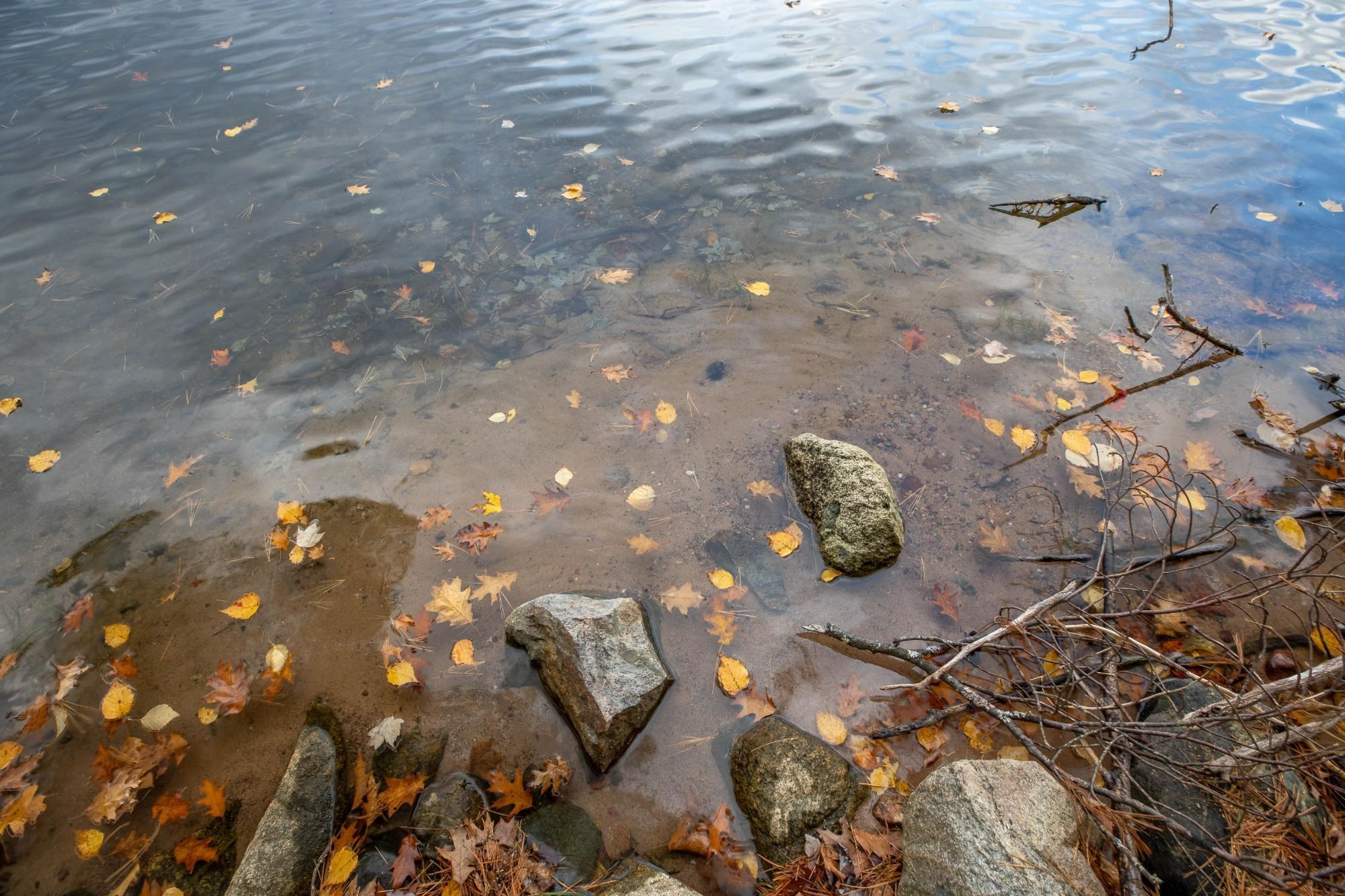 7938 S ALVA ROAD, CASSIAN, Wisconsin 54529, 2 Bedrooms Bedrooms, ,2 BathroomsBathrooms,Residential,For Sale,7938 S ALVA ROAD,22505610