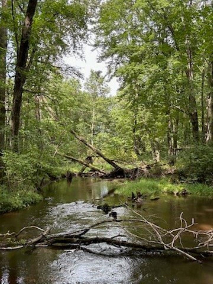 39.94 Acres COUNTY ROAD V, Pittsville, Wisconsin 54466, ,Land,For Sale,39.94 Acres COUNTY ROAD V,22505645