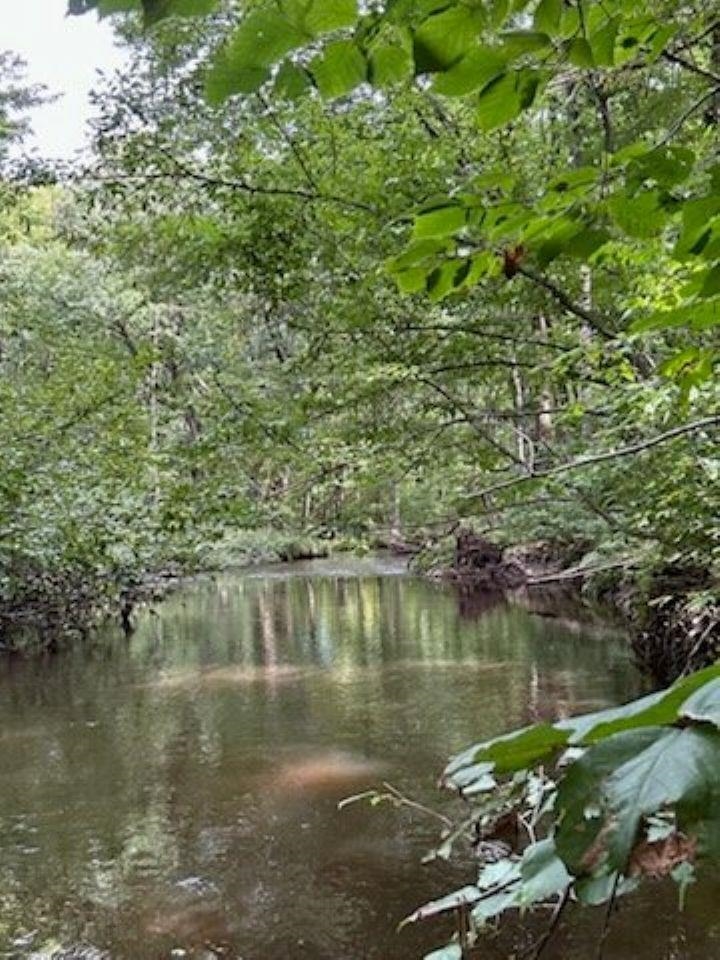 39.94 Acres COUNTY ROAD V, Pittsville, Wisconsin 54466, ,Land,For Sale,39.94 Acres COUNTY ROAD V,22505645