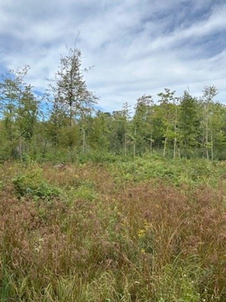 39.94 Acres COUNTY ROAD V, Pittsville, Wisconsin 54466, ,Land,For Sale,39.94 Acres COUNTY ROAD V,22505645
