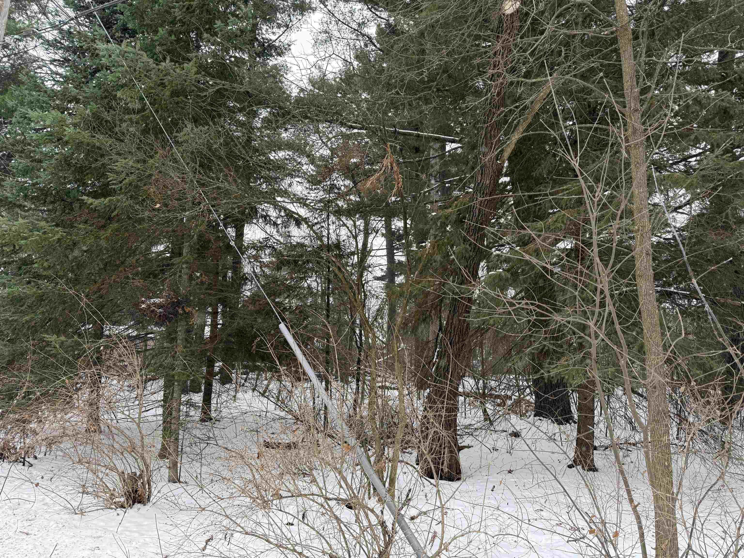 2007 BLOEDEL AVENUE, Weston, Wisconsin 54476, ,Land,For Sale,2007 BLOEDEL AVENUE,22505664
