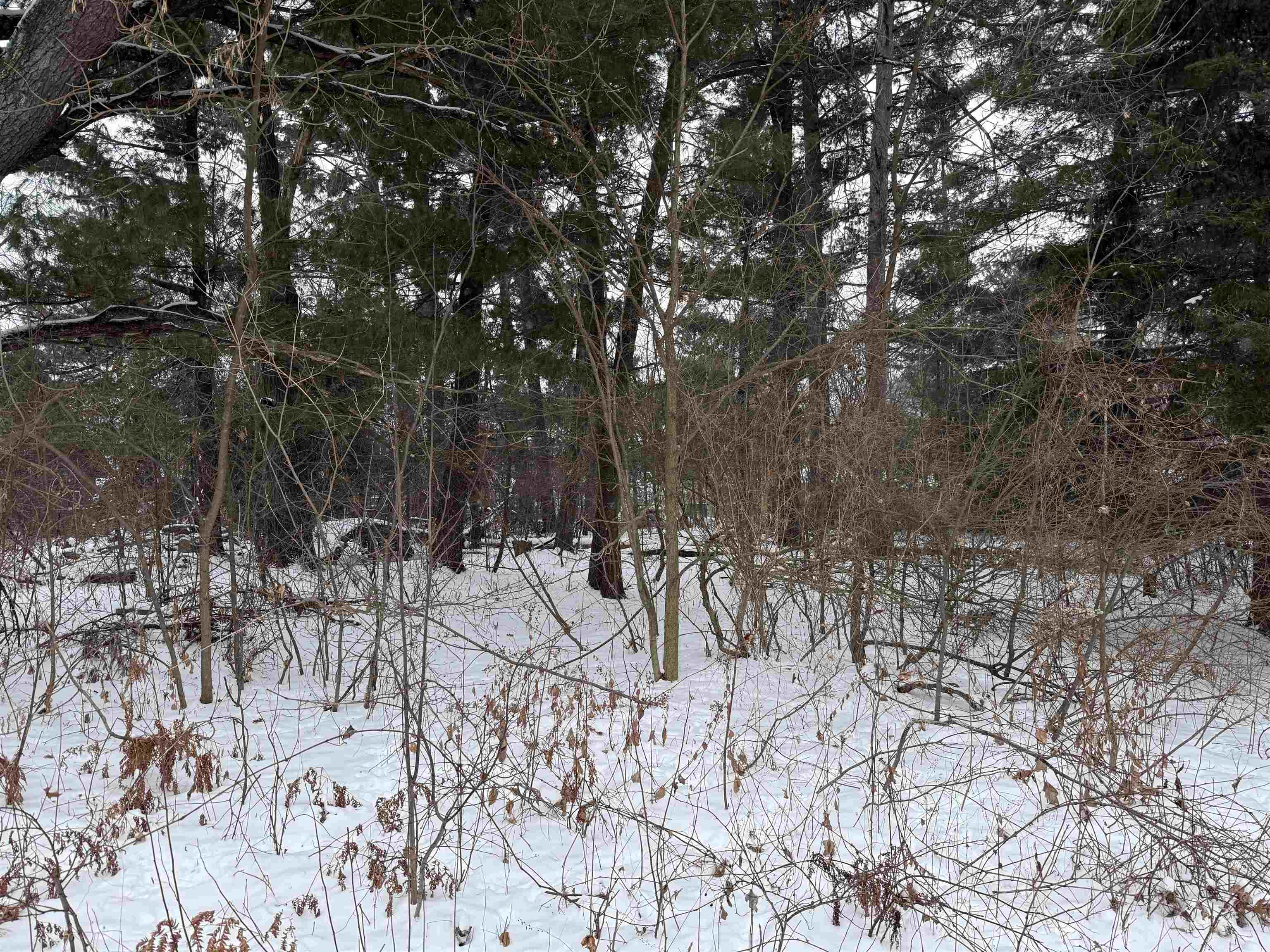 2007 BLOEDEL AVENUE, Weston, Wisconsin 54476, ,Land,For Sale,2007 BLOEDEL AVENUE,22505664
