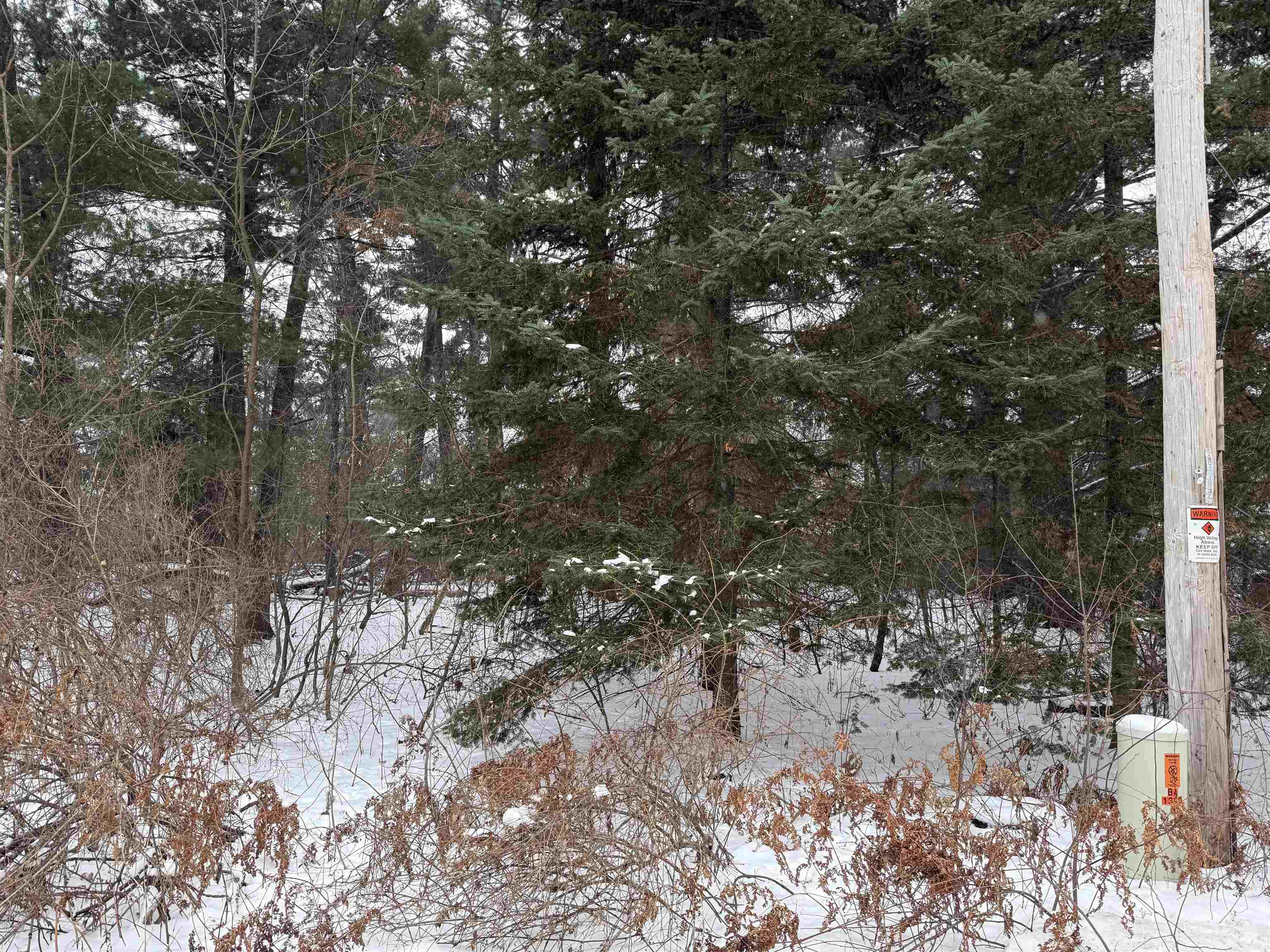 2007 BLOEDEL AVENUE, Weston, Wisconsin 54476, ,Land,For Sale,2007 BLOEDEL AVENUE,22505664