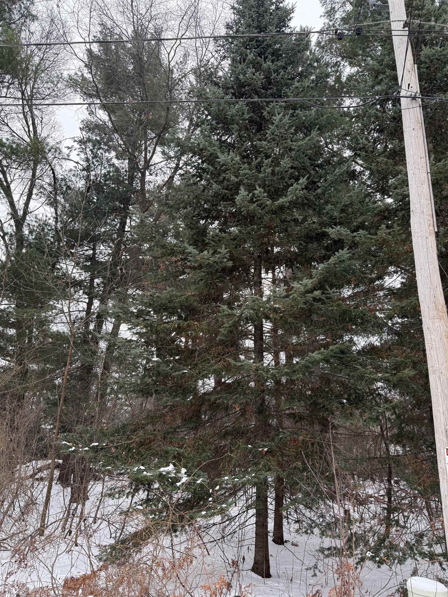 2007 BLOEDEL AVENUE, Weston, Wisconsin 54476, ,Land,For Sale,2007 BLOEDEL AVENUE,22505664