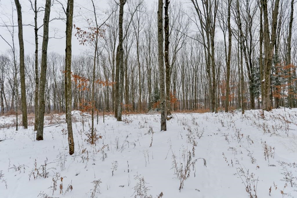 3.58 Acres NAUGART DRIVE, Merrill, Wisconsin 54452, ,Land,For Sale,3.58 Acres NAUGART DRIVE,22505692