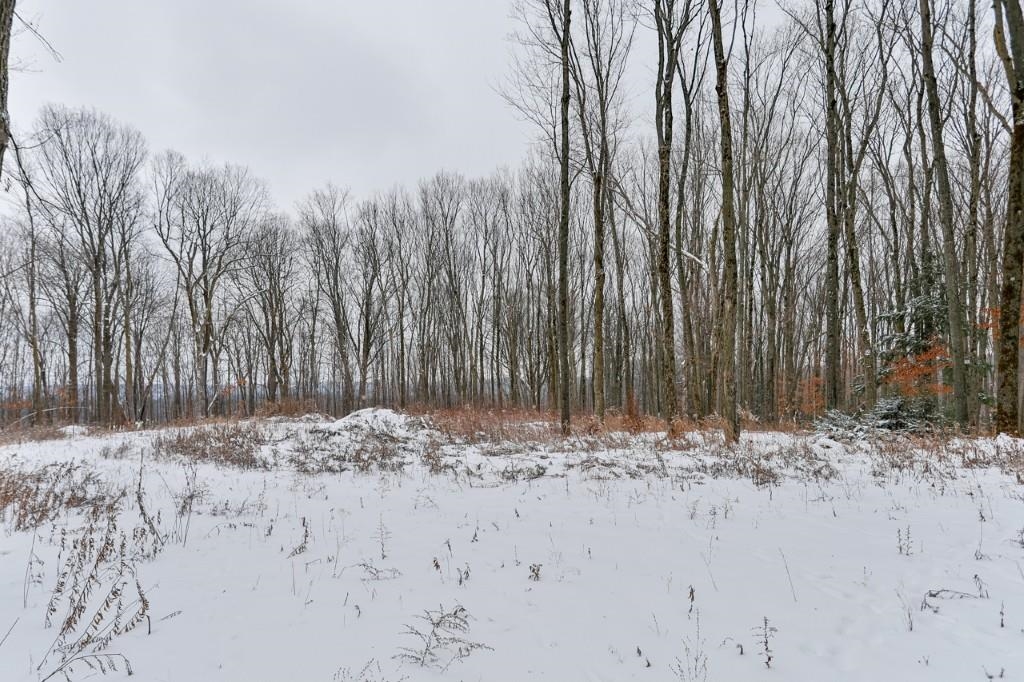 3.58 Acres NAUGART DRIVE, Merrill, Wisconsin 54452, ,Land,For Sale,3.58 Acres NAUGART DRIVE,22505692