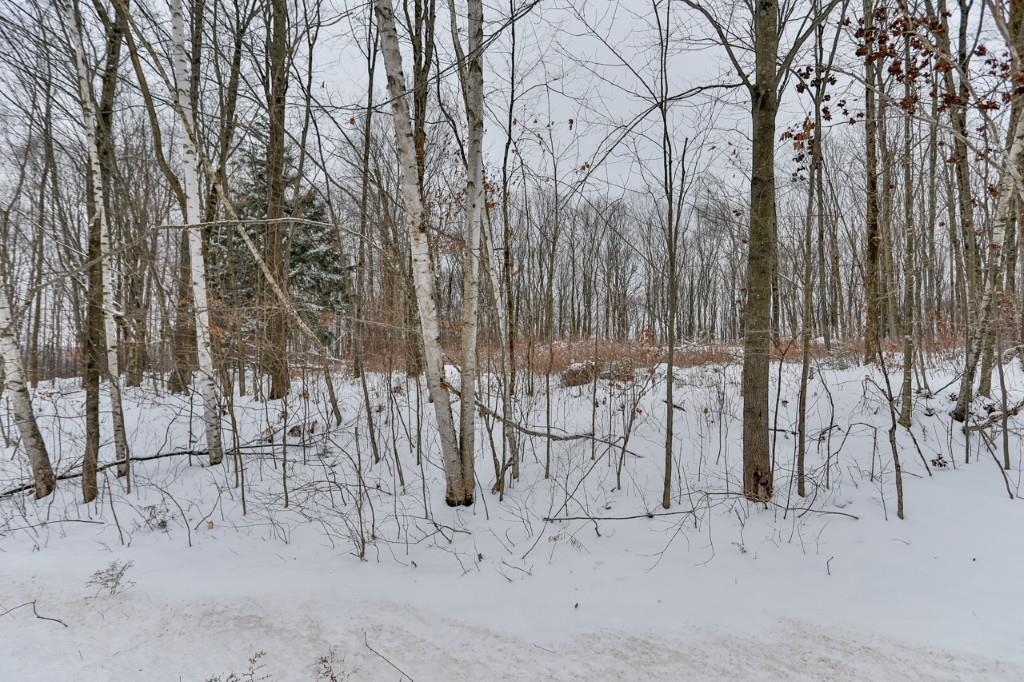 3.58 Acres NAUGART DRIVE, Merrill, Wisconsin 54452, ,Land,For Sale,3.58 Acres NAUGART DRIVE,22505692