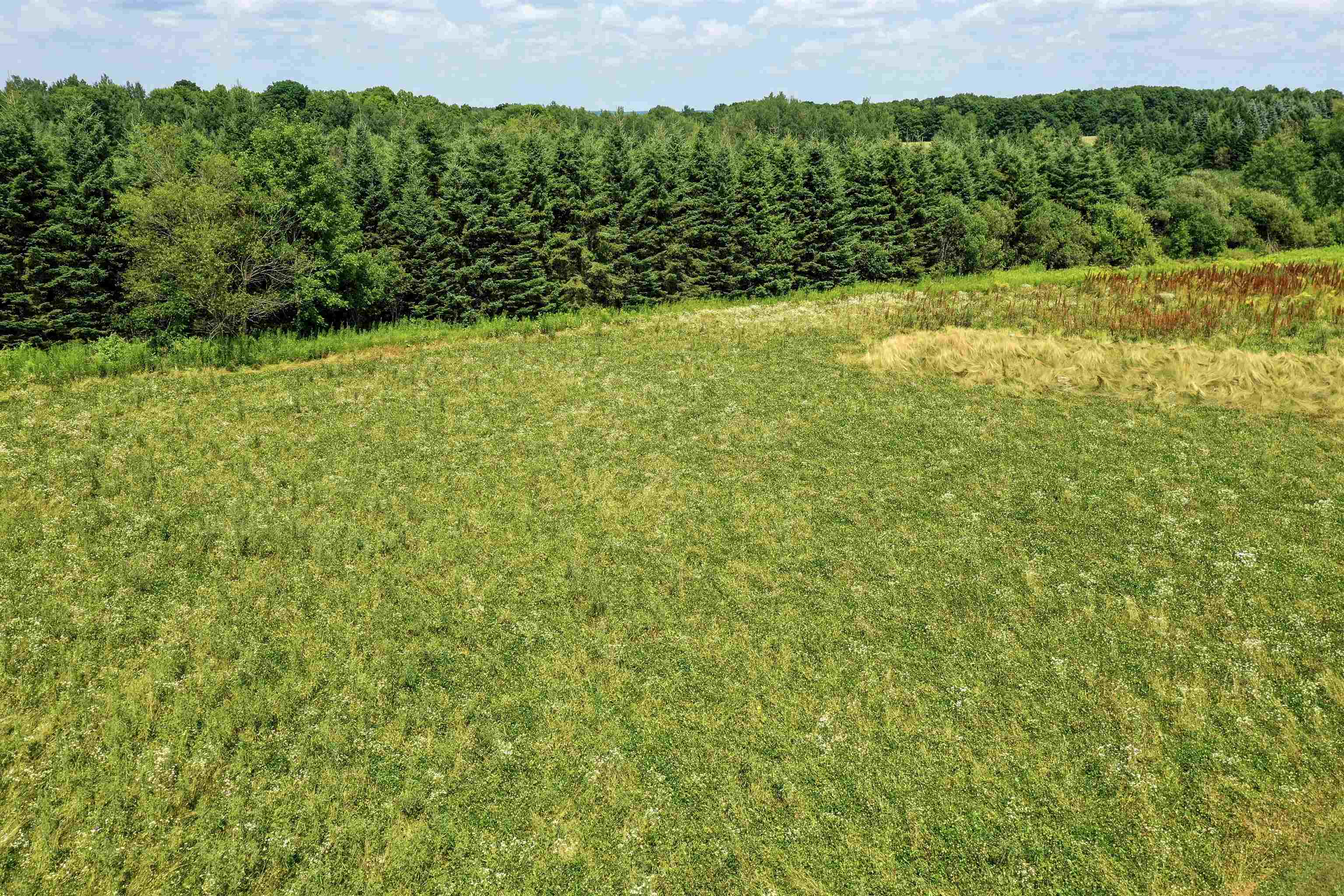 124236 KOHL ROAD, Athens, Wisconsin 54411, 3 Bedrooms Bedrooms, ,2 BathroomsBathrooms,Residential,For Sale,124236 KOHL ROAD,22505705