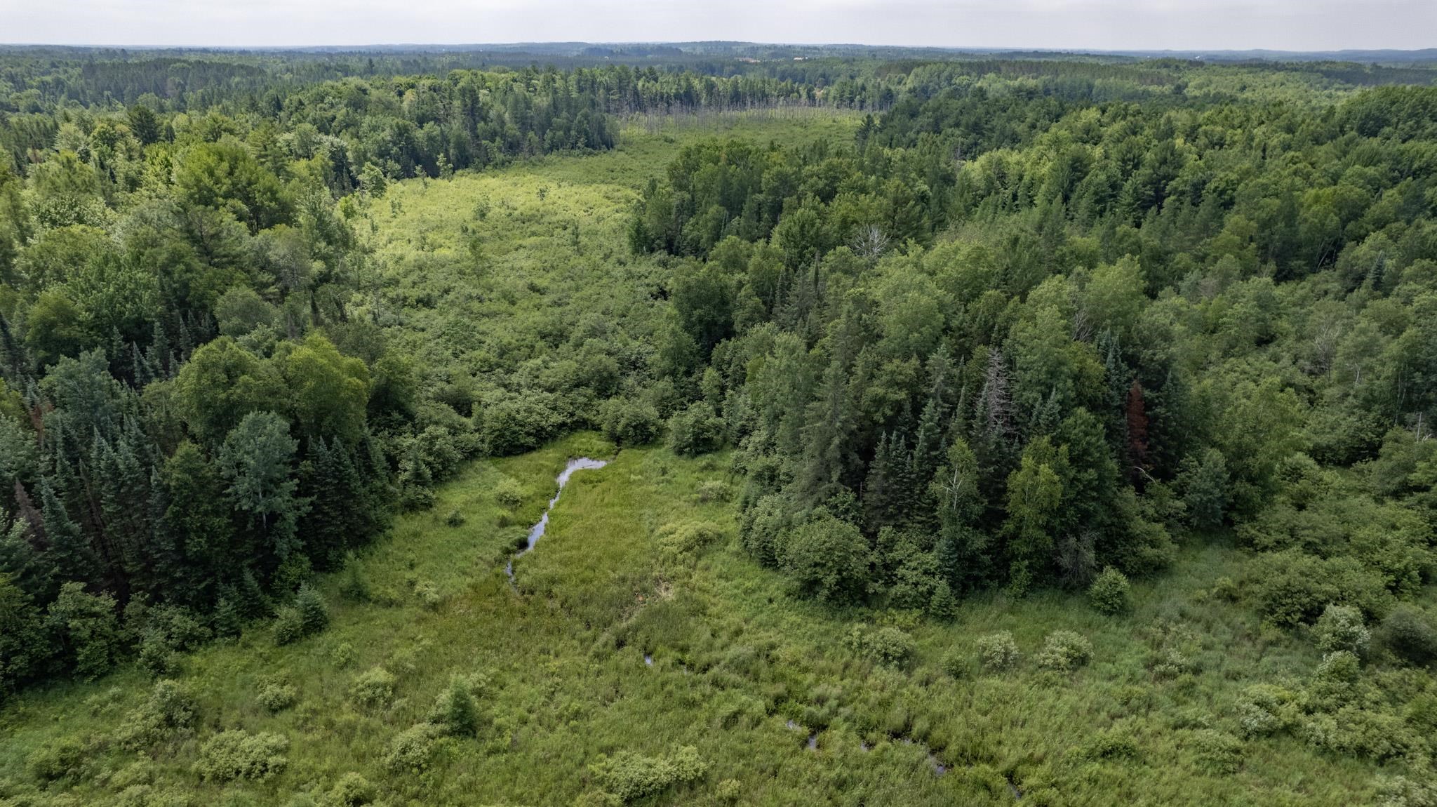 STATE HIGHWAY 102, Westboro, Wisconsin 54490, ,Land,For Sale,STATE HIGHWAY 102,22505729