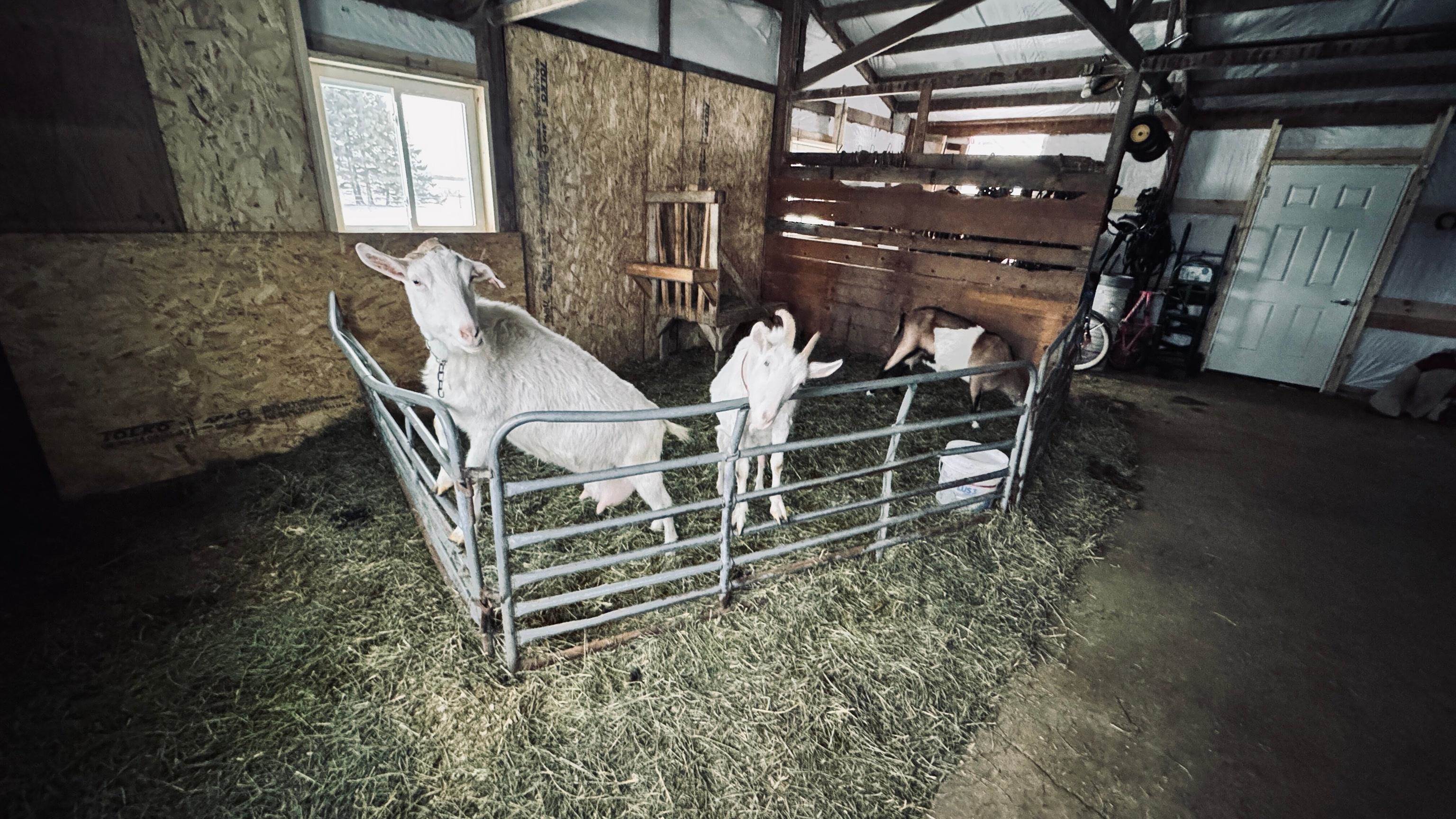 2851 TRESTIK ROAD, Junction City, Wisconsin 54443, 6 Bedrooms Bedrooms, ,2 BathroomsBathrooms,Residential,For Sale,2851 TRESTIK ROAD,22505766